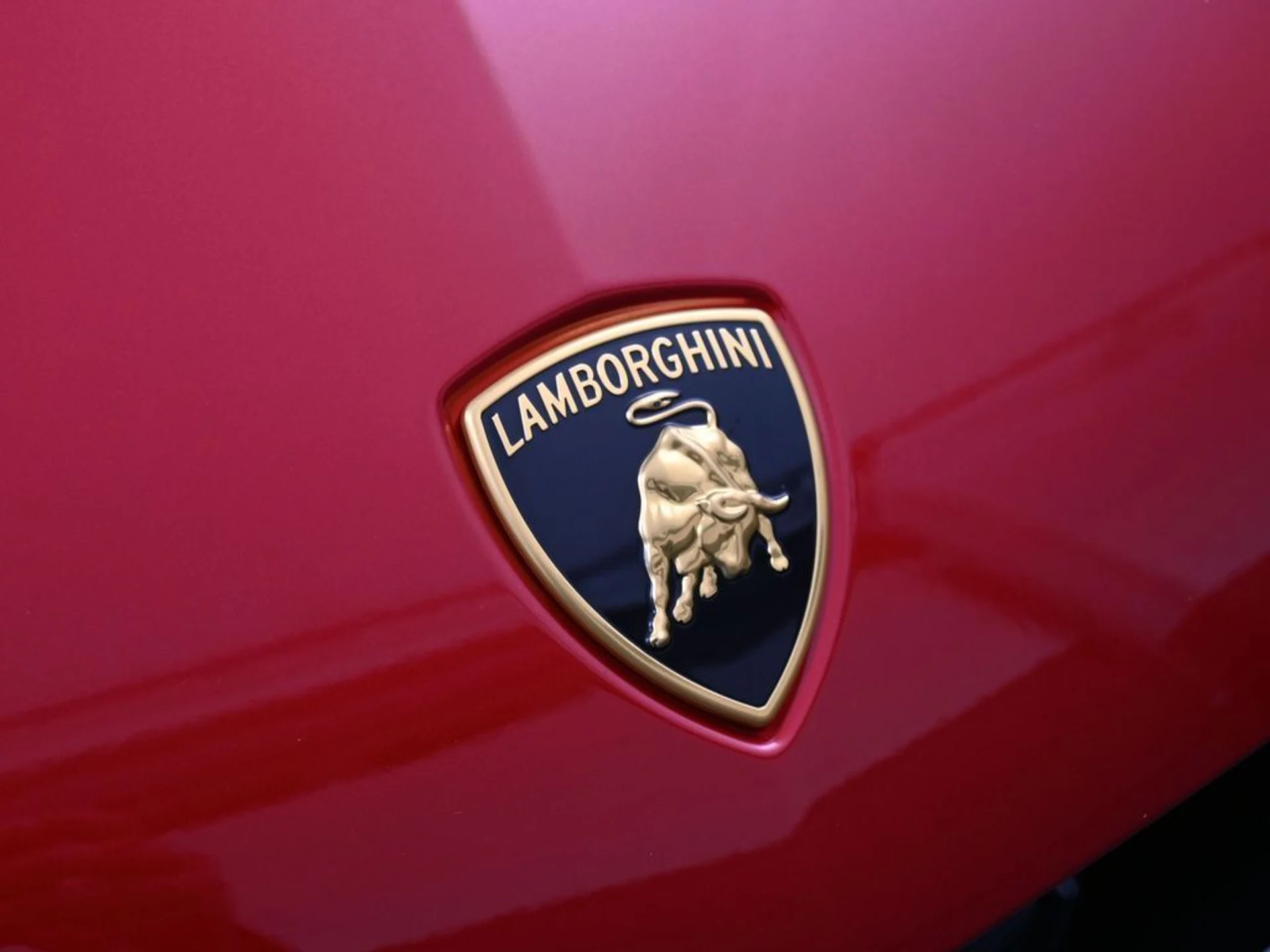 mph012_2377101866_8958df00_2c29_48f7_8ab6_e4b82d03654a_2590960005