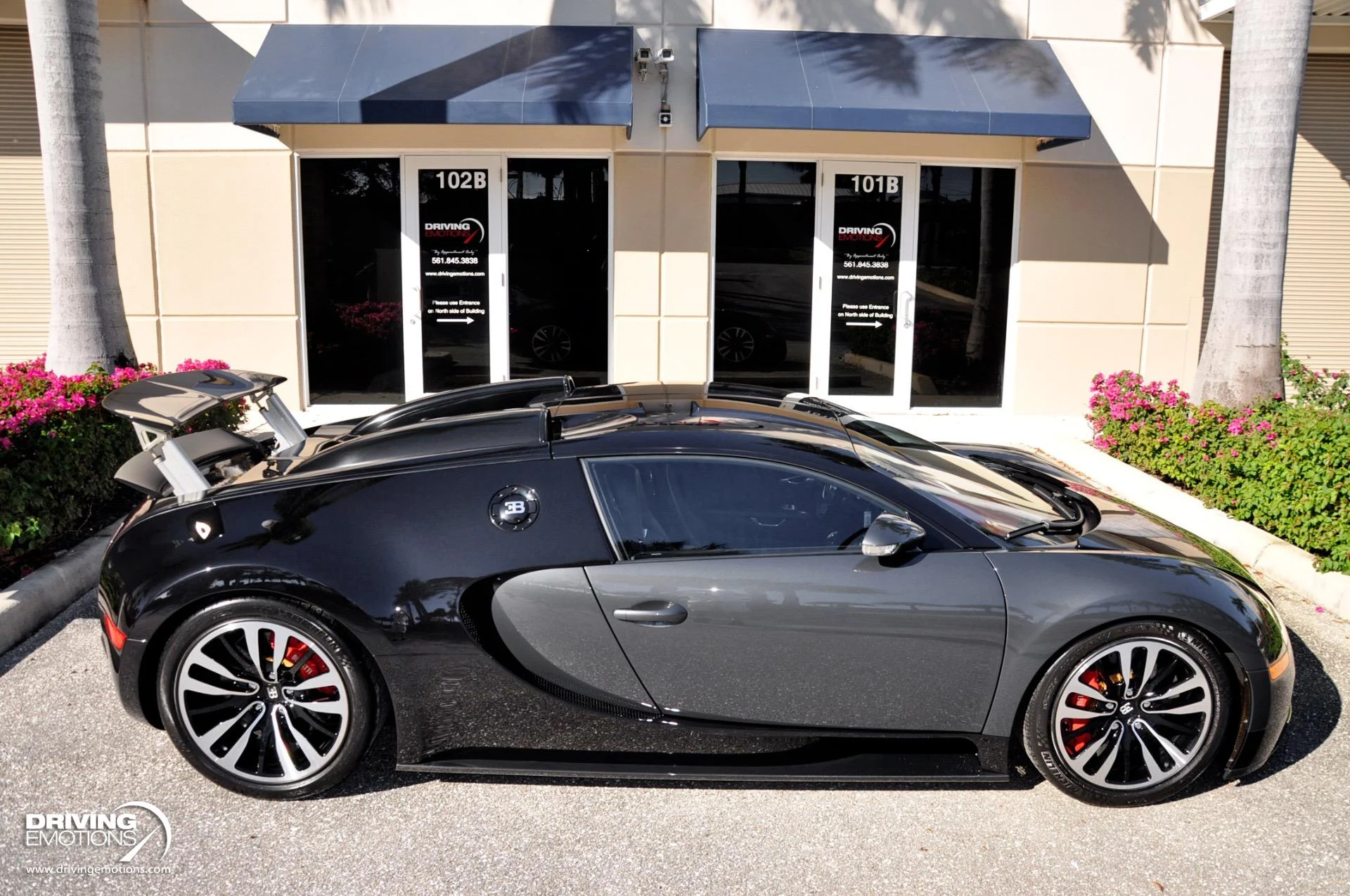 mph012_2395587532_479_p13_l_8151971aa1