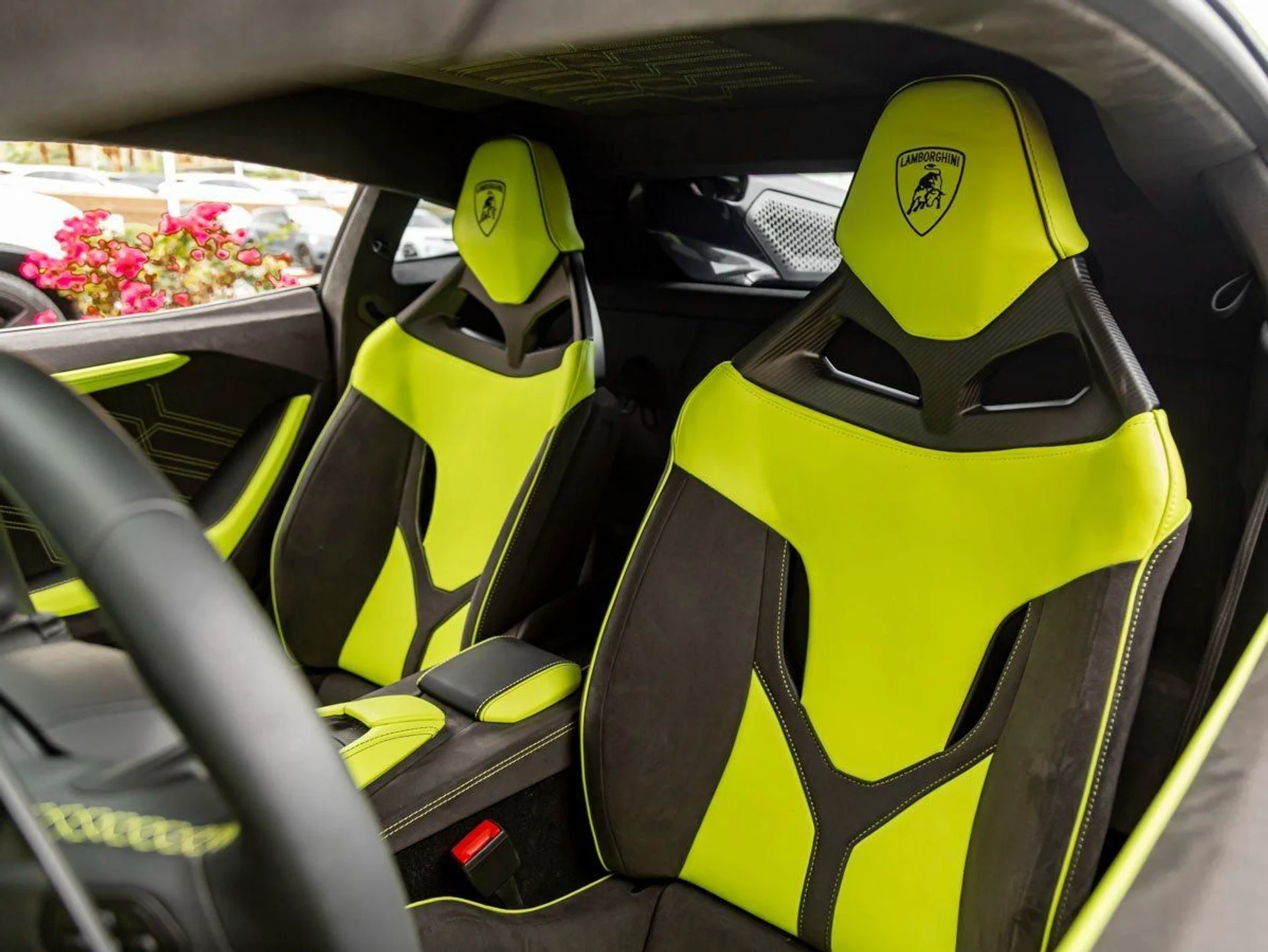 mph012_2426793689_13_a5b9244256