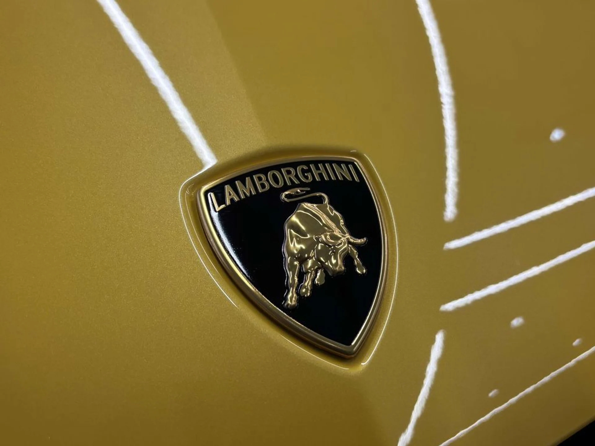 mph012_2432374087_e6d90cff07478b8204853660e6681d87x_054aee6a9c