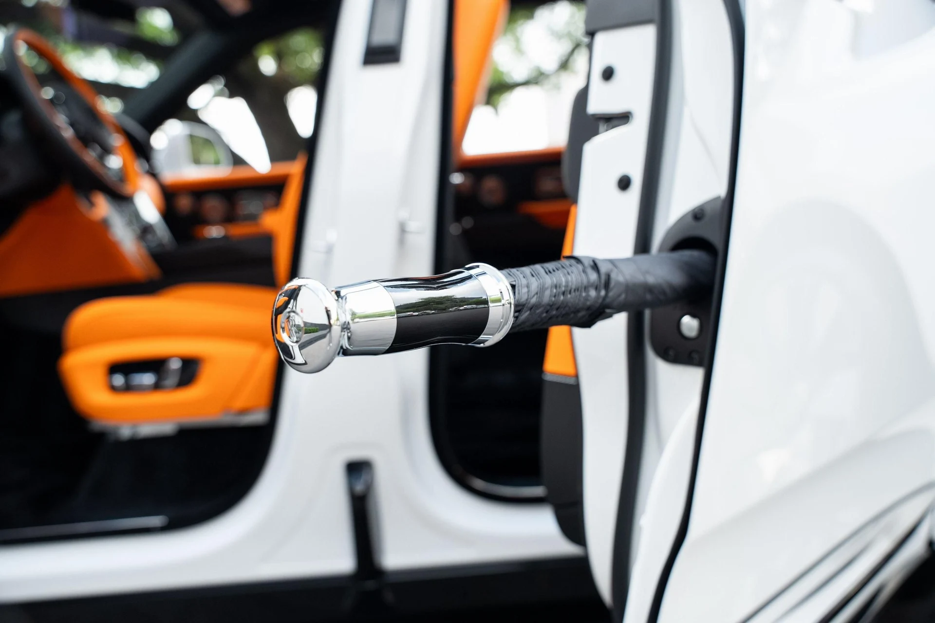 mph012_2490959709_500349993_69a6fbf7af3a405b44d4111b_49975394de