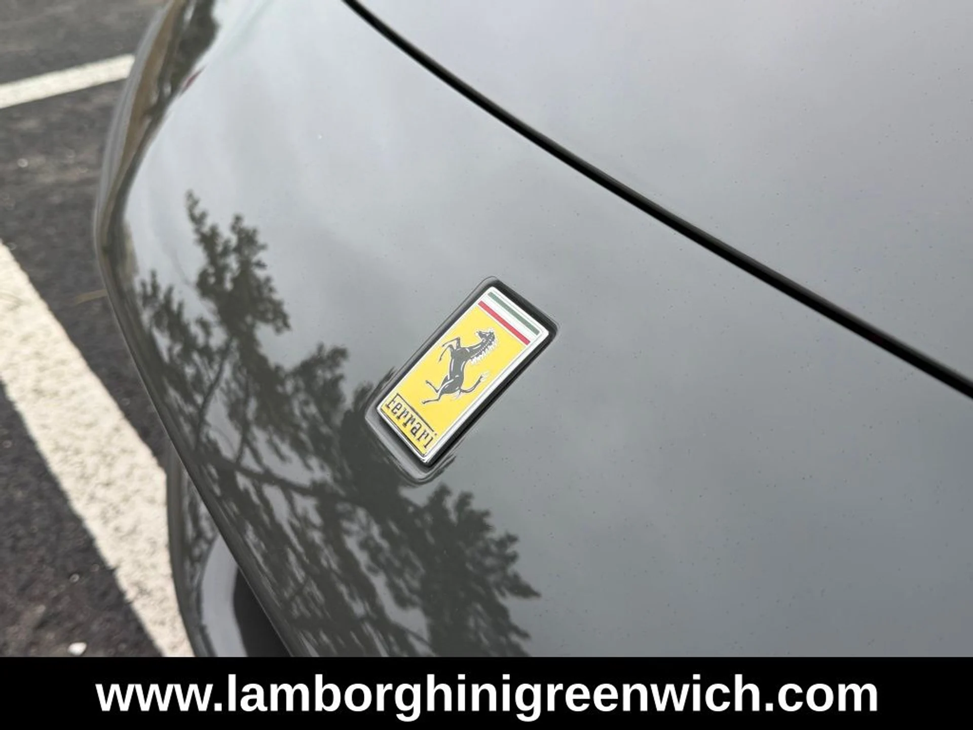 mph012_2513441992_9789e5295a0df7e3c9b227e62d4c167fx_7811e4eb76