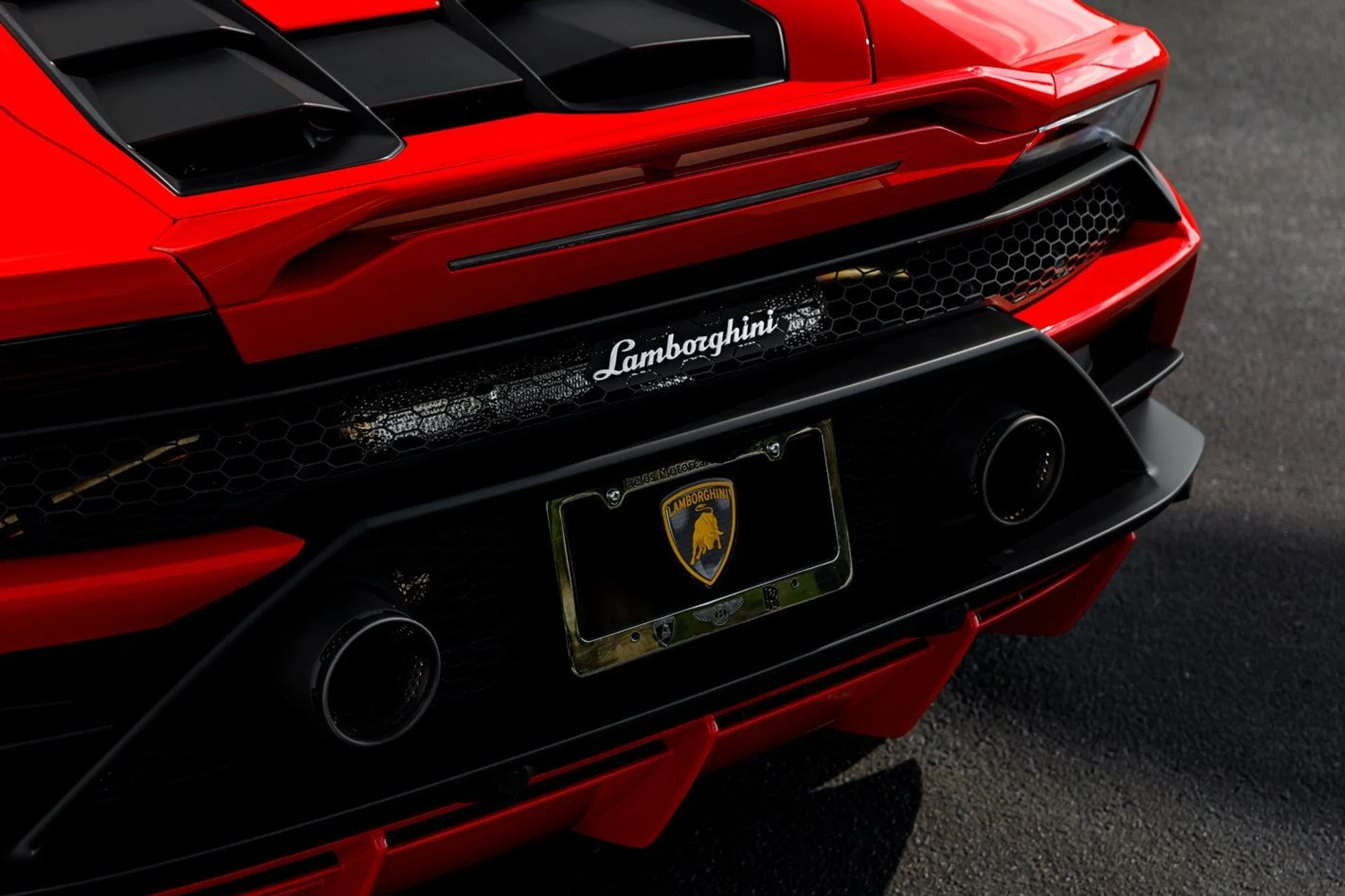 mph012_2520665965_12c1b495714362f8a9e859e92d8ef6d2x_e6c22d222f