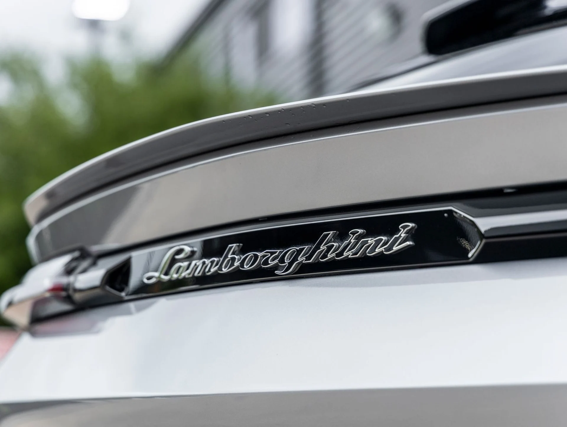 mph012_2575830814_13_5651fff34f