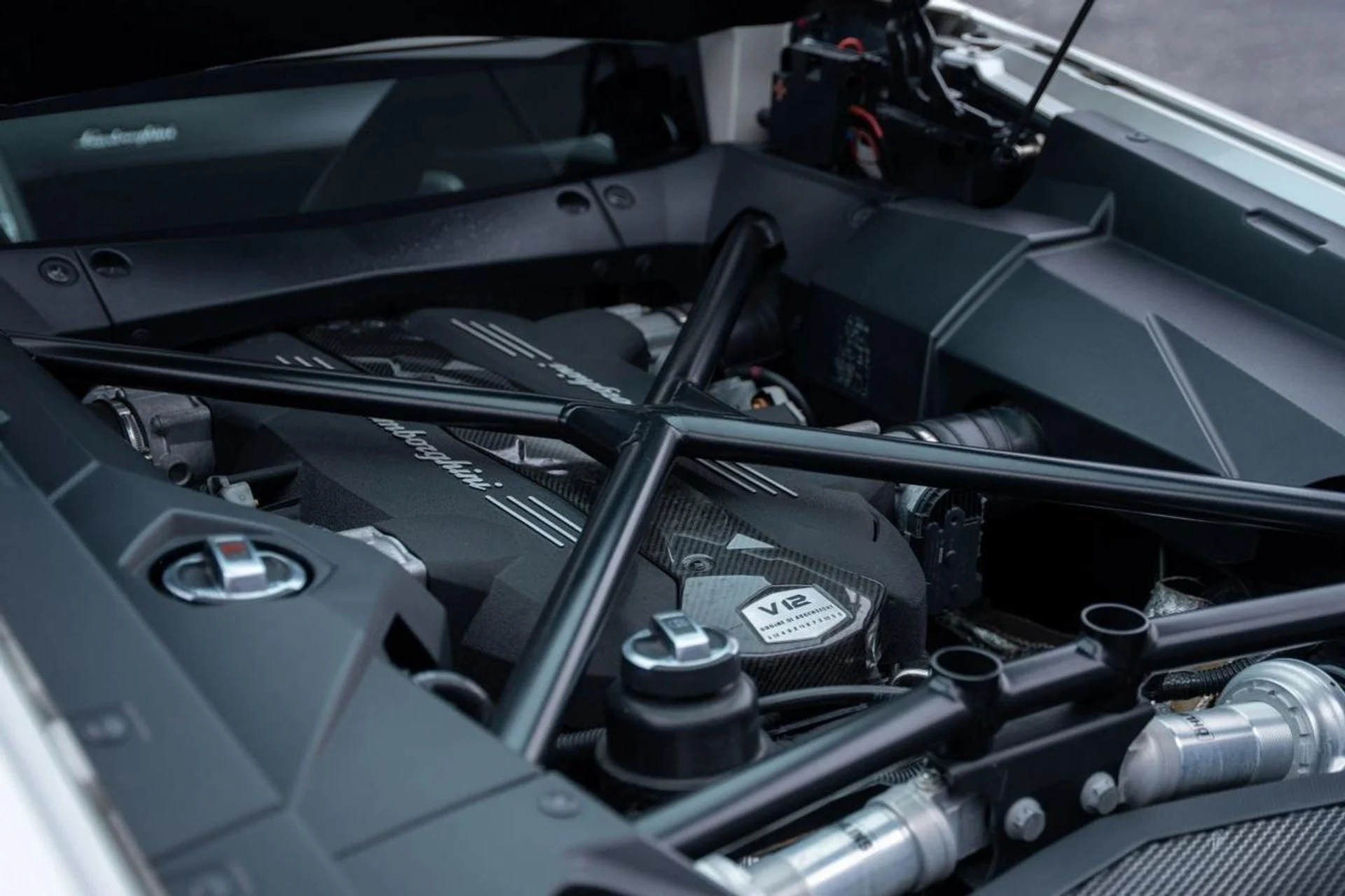 mph012_2604445397_67e077ccfbc5181a7e5145cd8af2b204_9d41fa6e16