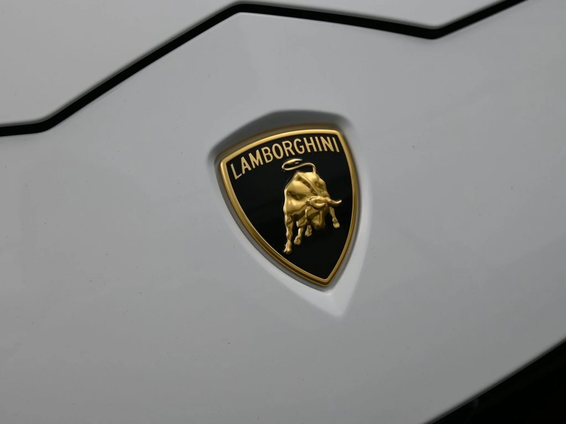 mph012_2626363857_d850db5cf310c830f92bf1de6f8f8b97_17b16e4cd7