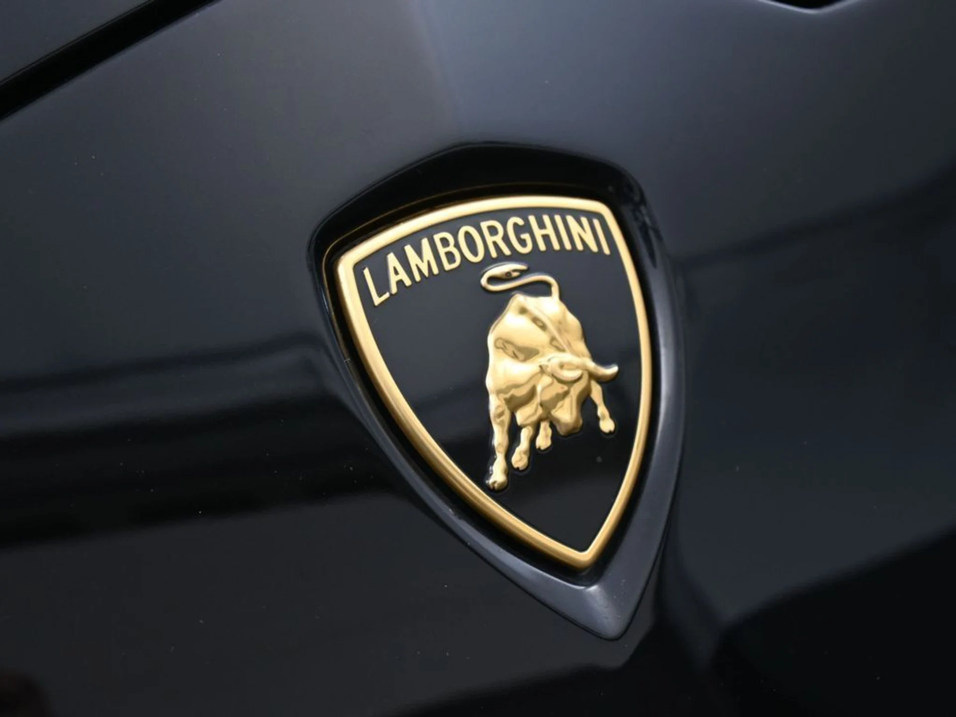 mph012_2649421530_75afe389_5aa7_4e99_bb67_777230369805_c5946d866f