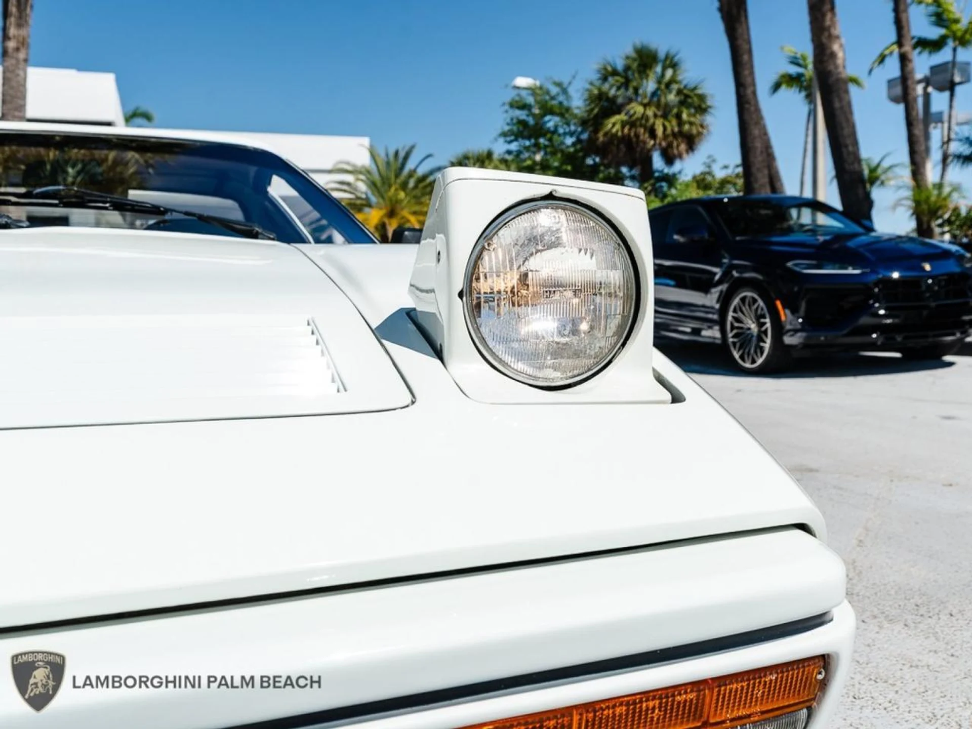 mph012_2667453002_6d58bf5e0dccf48ef05d0de095d8dd3b_824daa2621