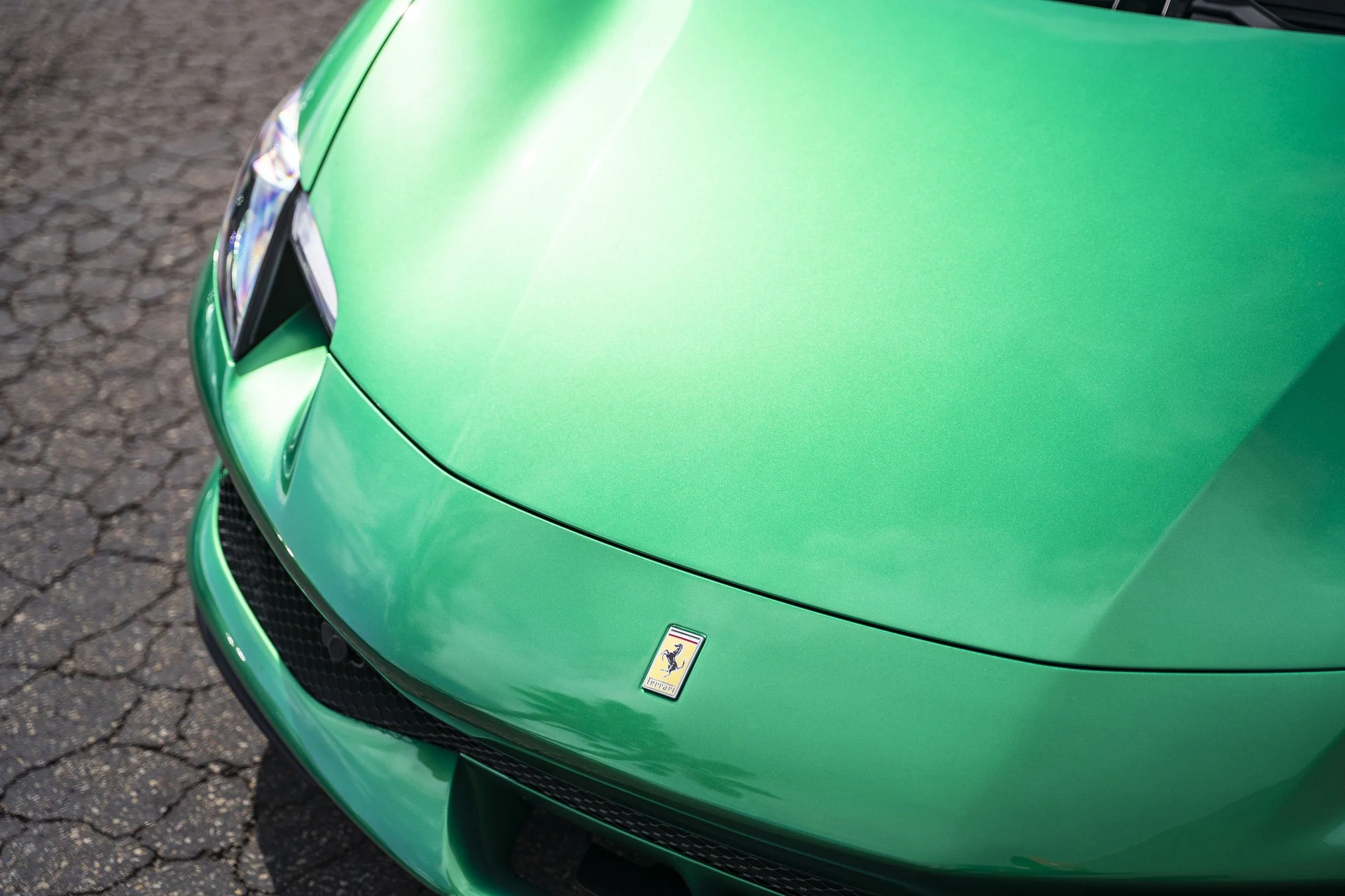 mph012_2685614810_be3b9bd6816144d59b2fbfc156964b7e_dcbb6bd2bb