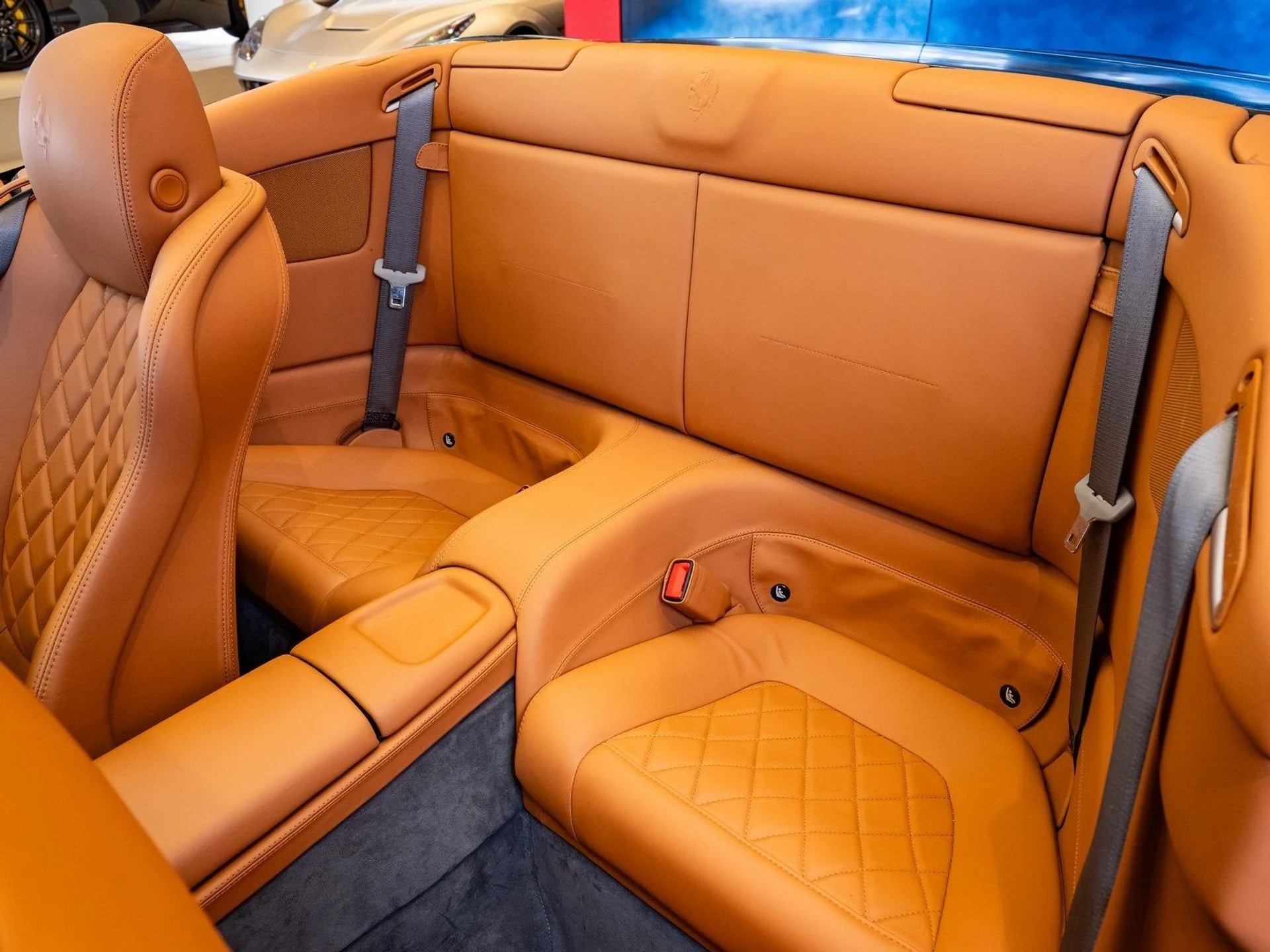 mph012_2724040395_13_09698758d6