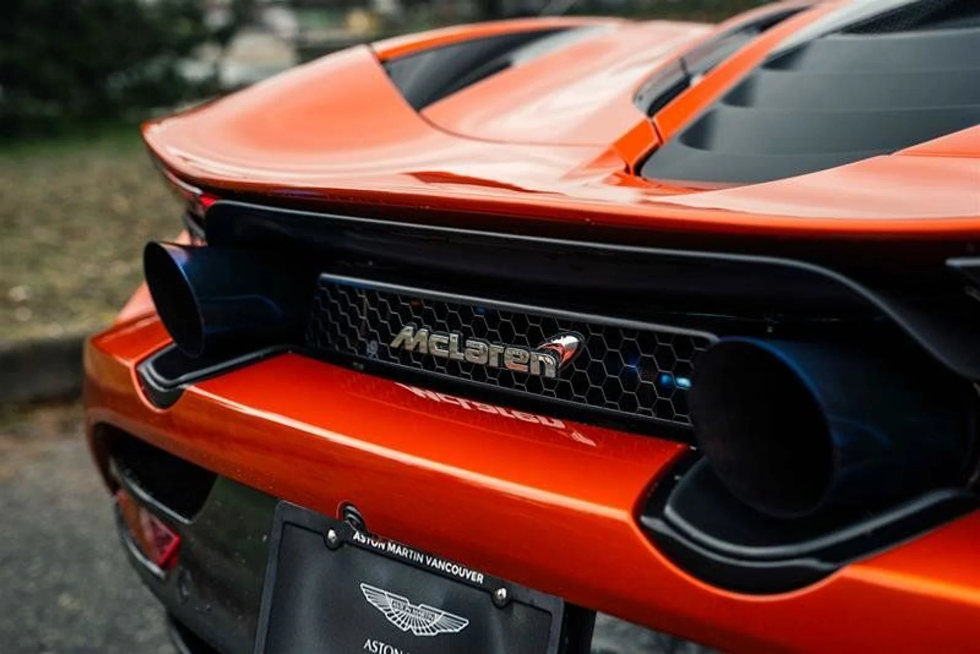 mph012_2775844868_38064052_05391_11852762_1624725067_cdd3d64b58