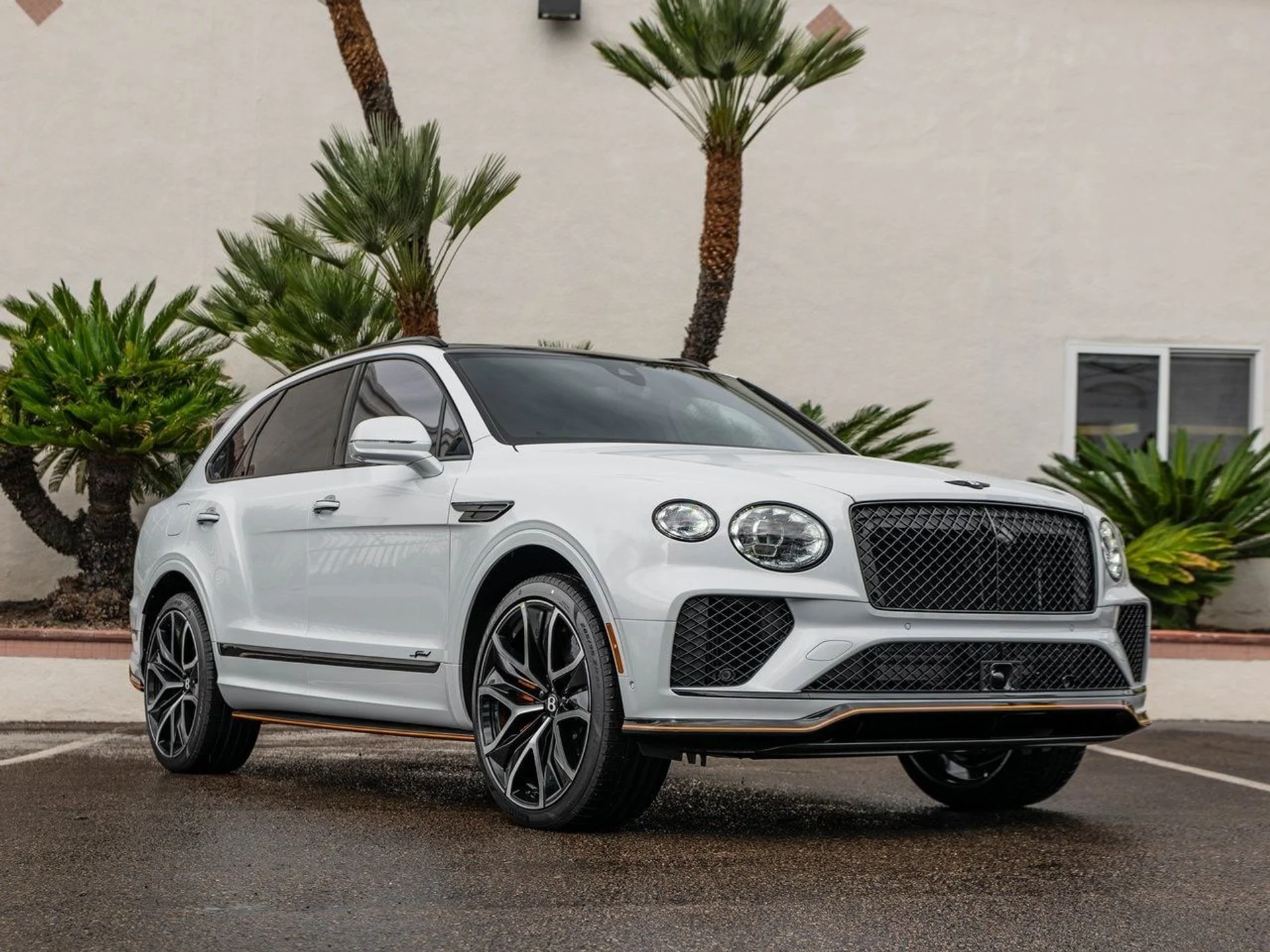 mph012_2834529471_23b6b4448d71a8e76bdbc38374b08464x_e5474903a0