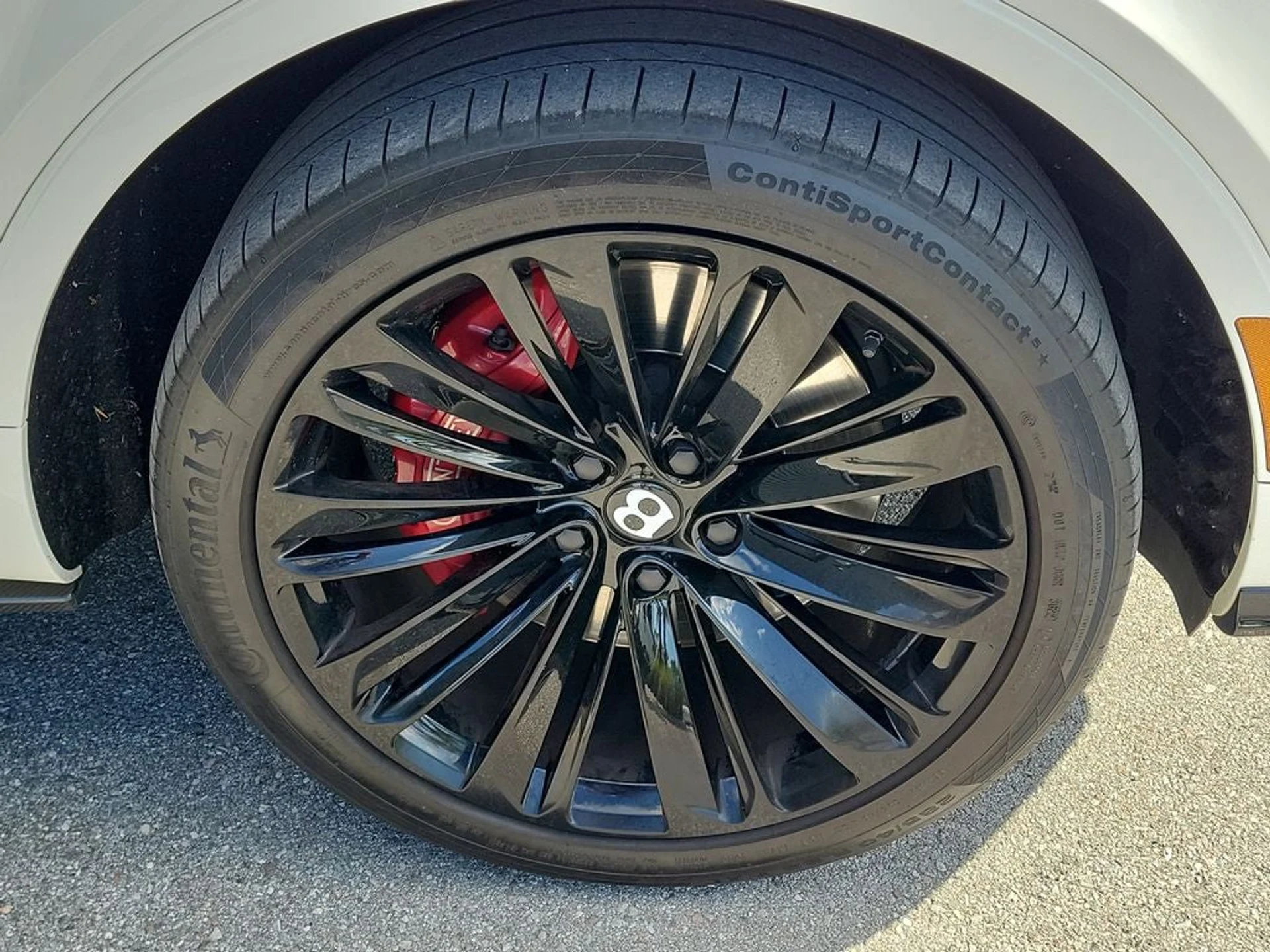 mph012_2839682516_13_4228679d6d