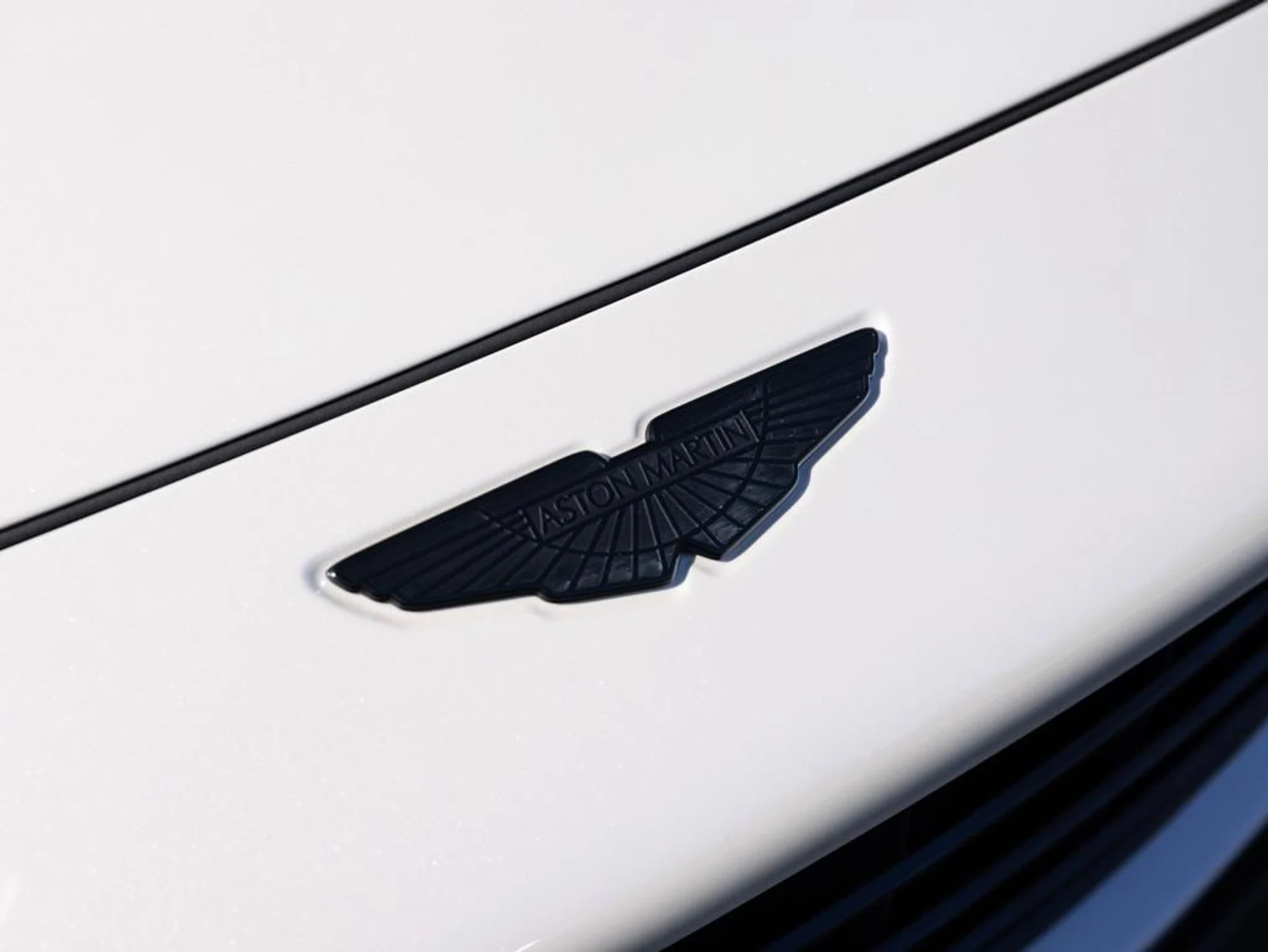 mph012_2893758183_408012007_6849ae31bc21500848008b3e_3d6a58871b