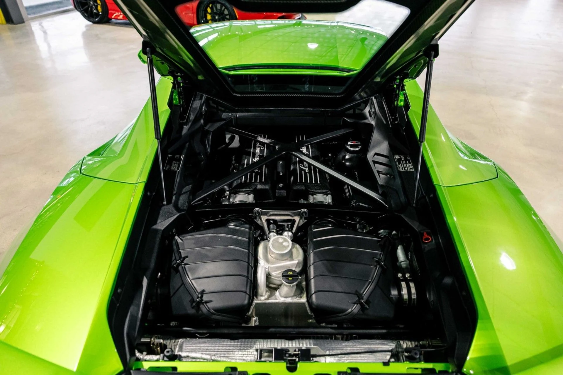 mph012_2977872691_NQ_02e6e12a14