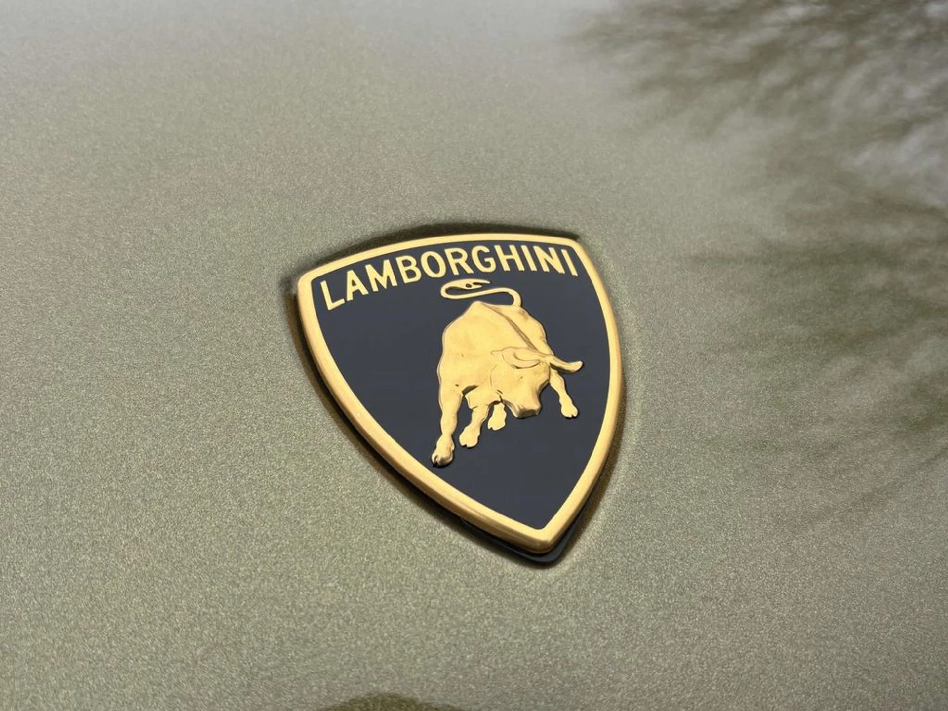 mph012_3114692056_2362e4cbd54d366cfb14cb69f3253092x_913c97c0f8