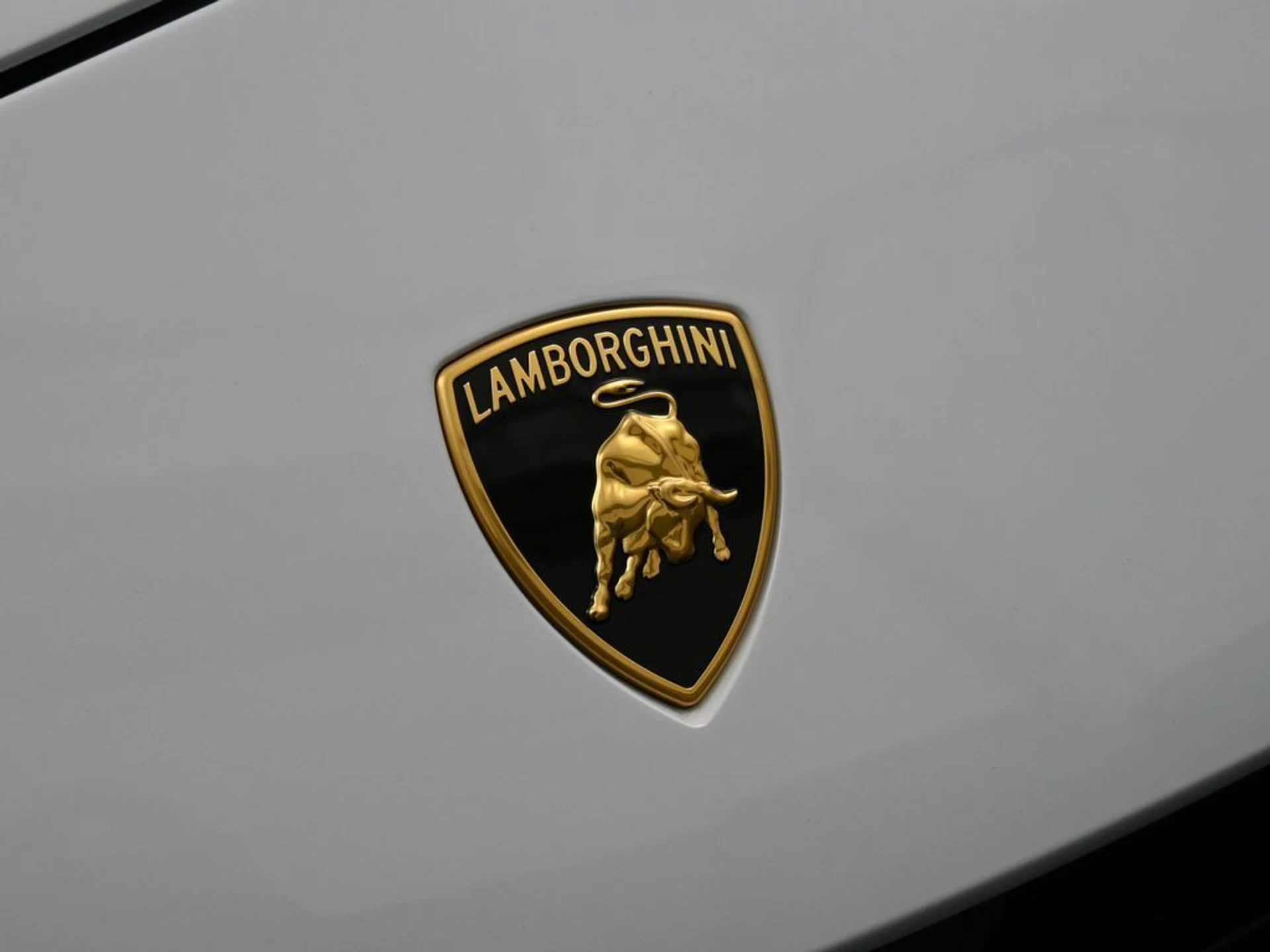 mph012_3151980907_1c566f1d_5f77_49c6_8c58_10e4198ec87e_d22697a739