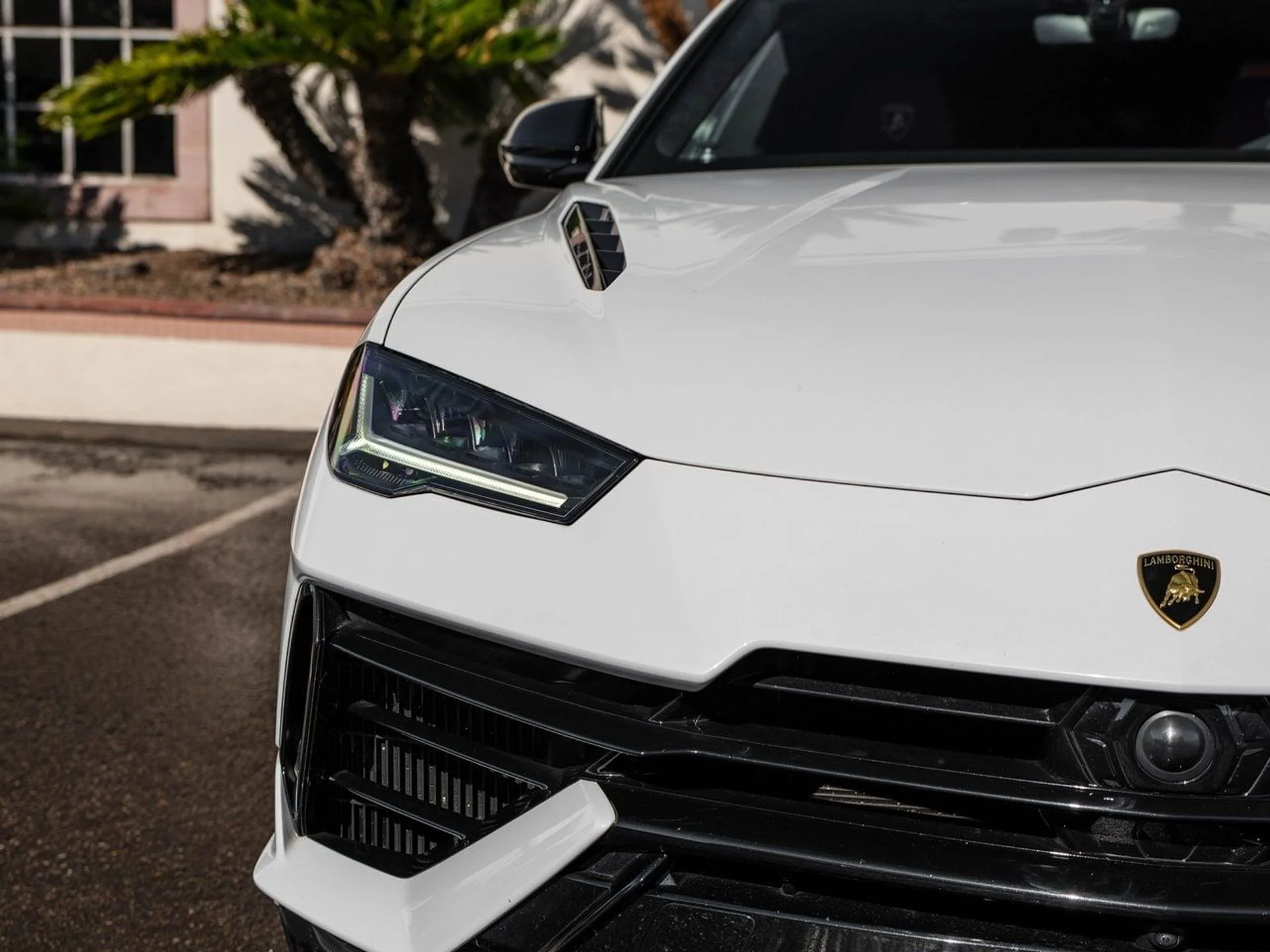 mph012_3196988975_a4f0eb6307cb7e18157b71c8ed8b9b7dx_8f9b7c949b