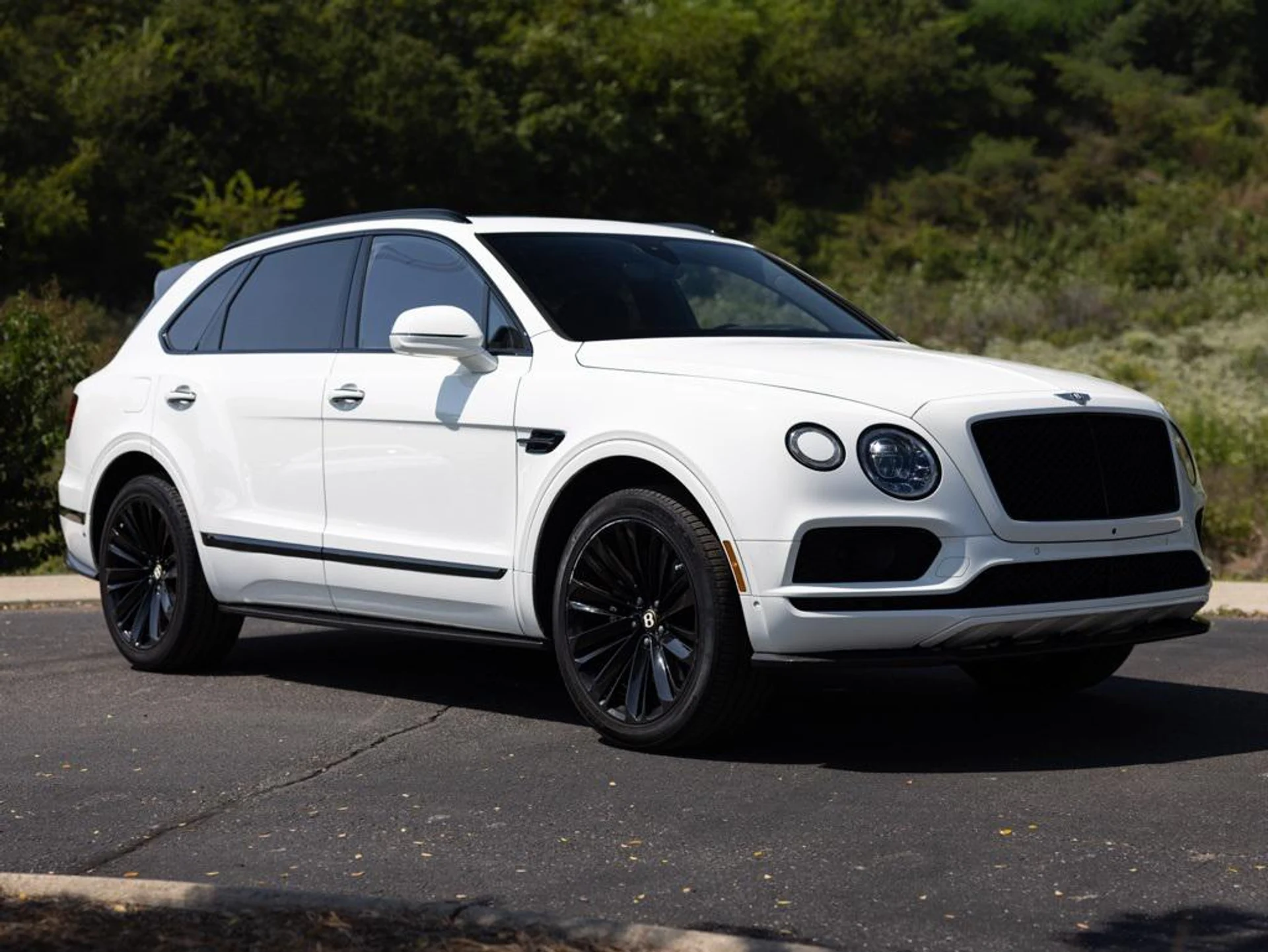 mph012_3266738506_453535946_68c545ac866a66fdd6c44749_b87cf73b2b