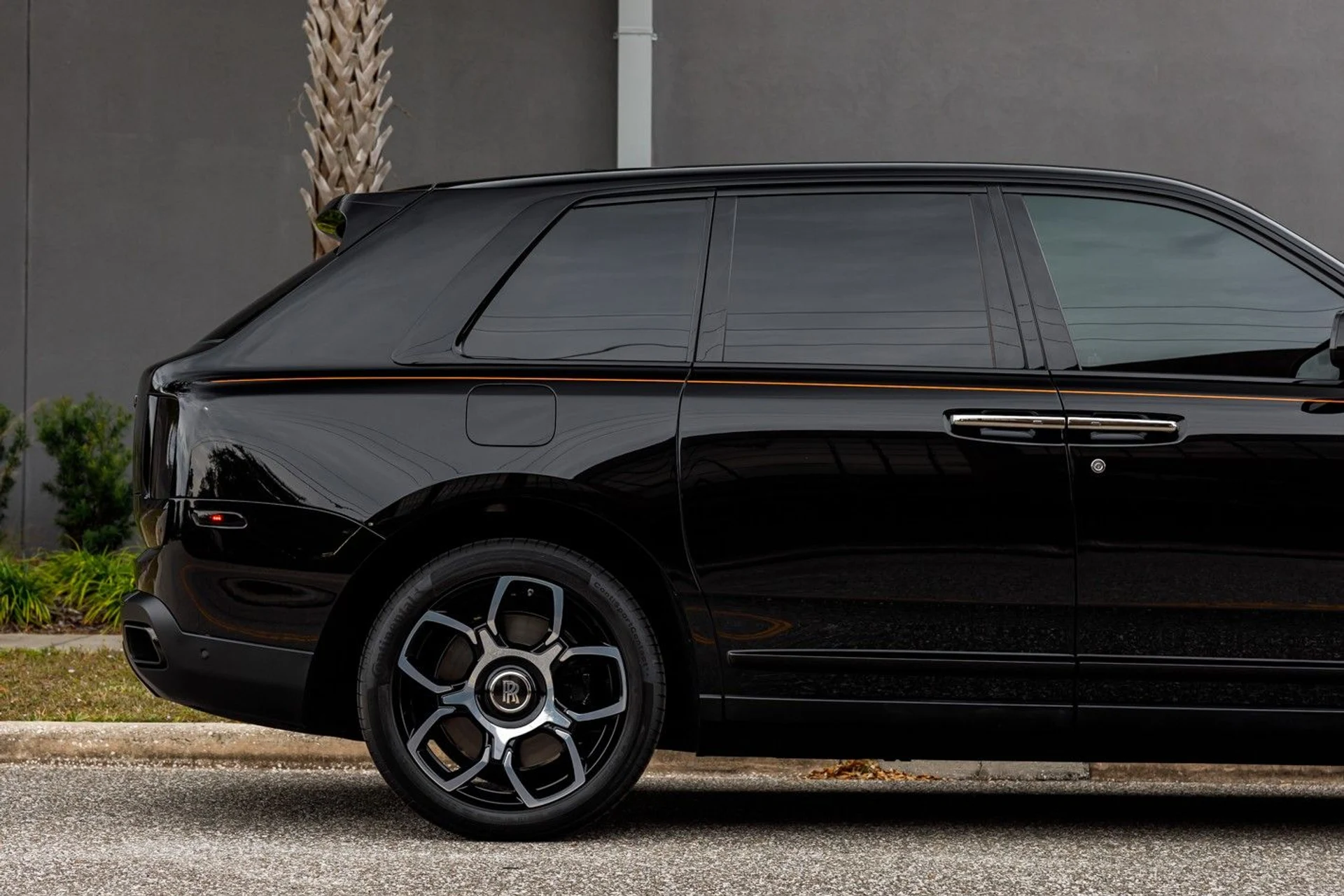 mph012_3341082385_649_p13_l_93c31d5733