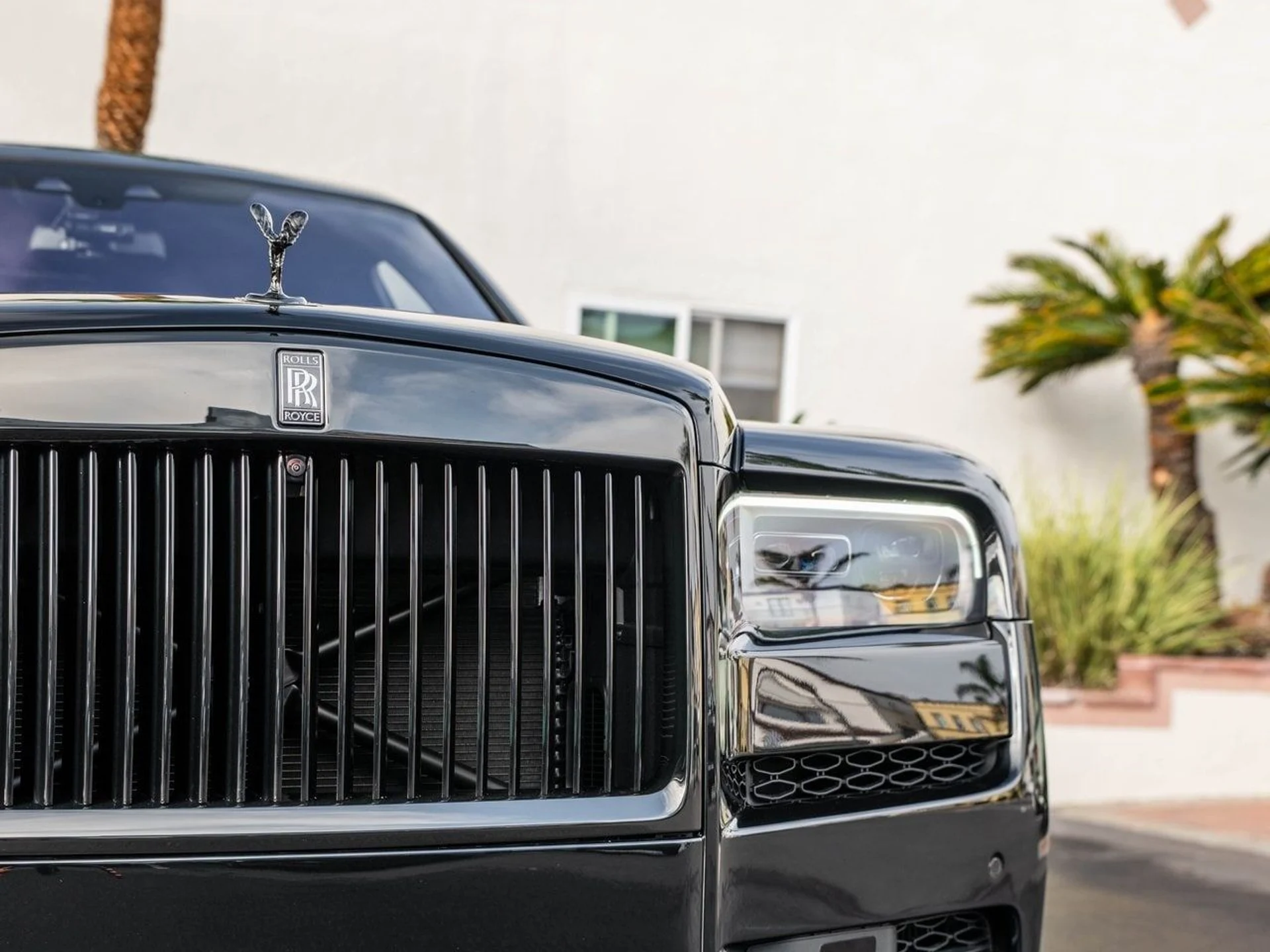 mph012_3355631166_263532fcdbb35c6c34adf33cc738b4a8x_482674c4a0