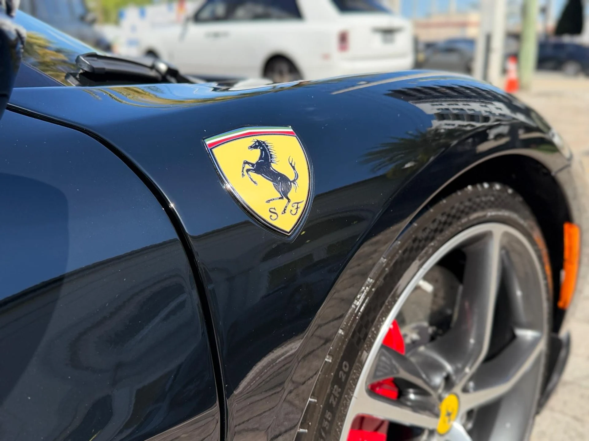 mph012_3446638759_Whats_App_Image_2026_02_12_at_4_54_58_PM_42_8f59faafab