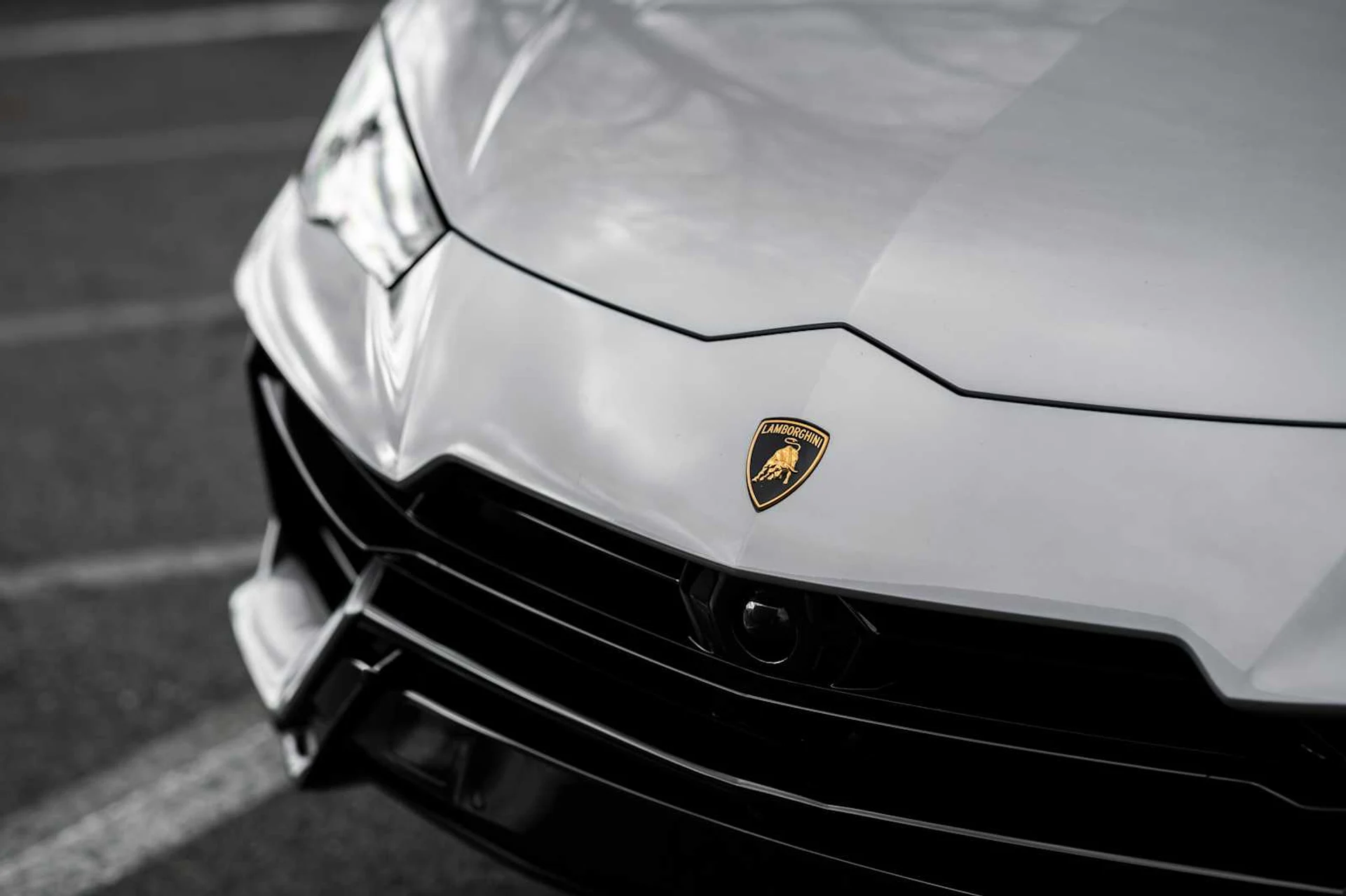 mph012_3542587679_3534a4df373c5c0de4a5479372f9ed2ex_4a2532c10b