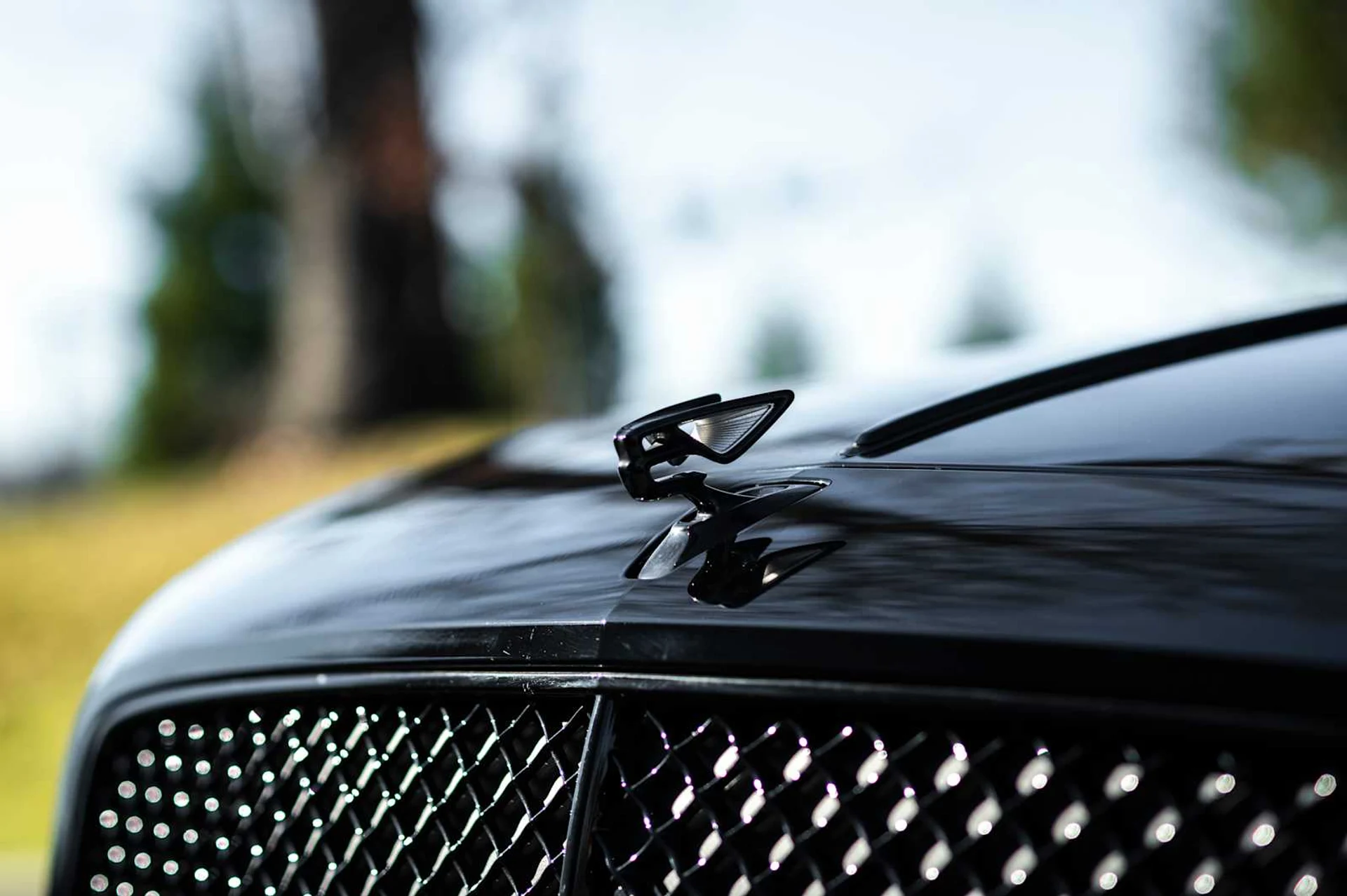 mph012_354988801_22daabbc347903cc0fc91334448883dax_f8fcbaf75d