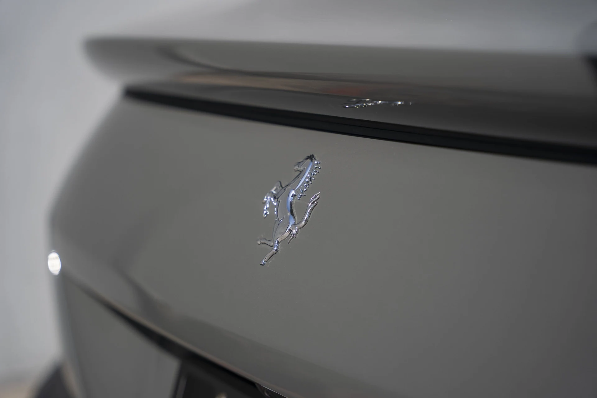 mph012_3620853514_8ec712ebc8334b4ba84eefc6e373438c_6928ea4d2e