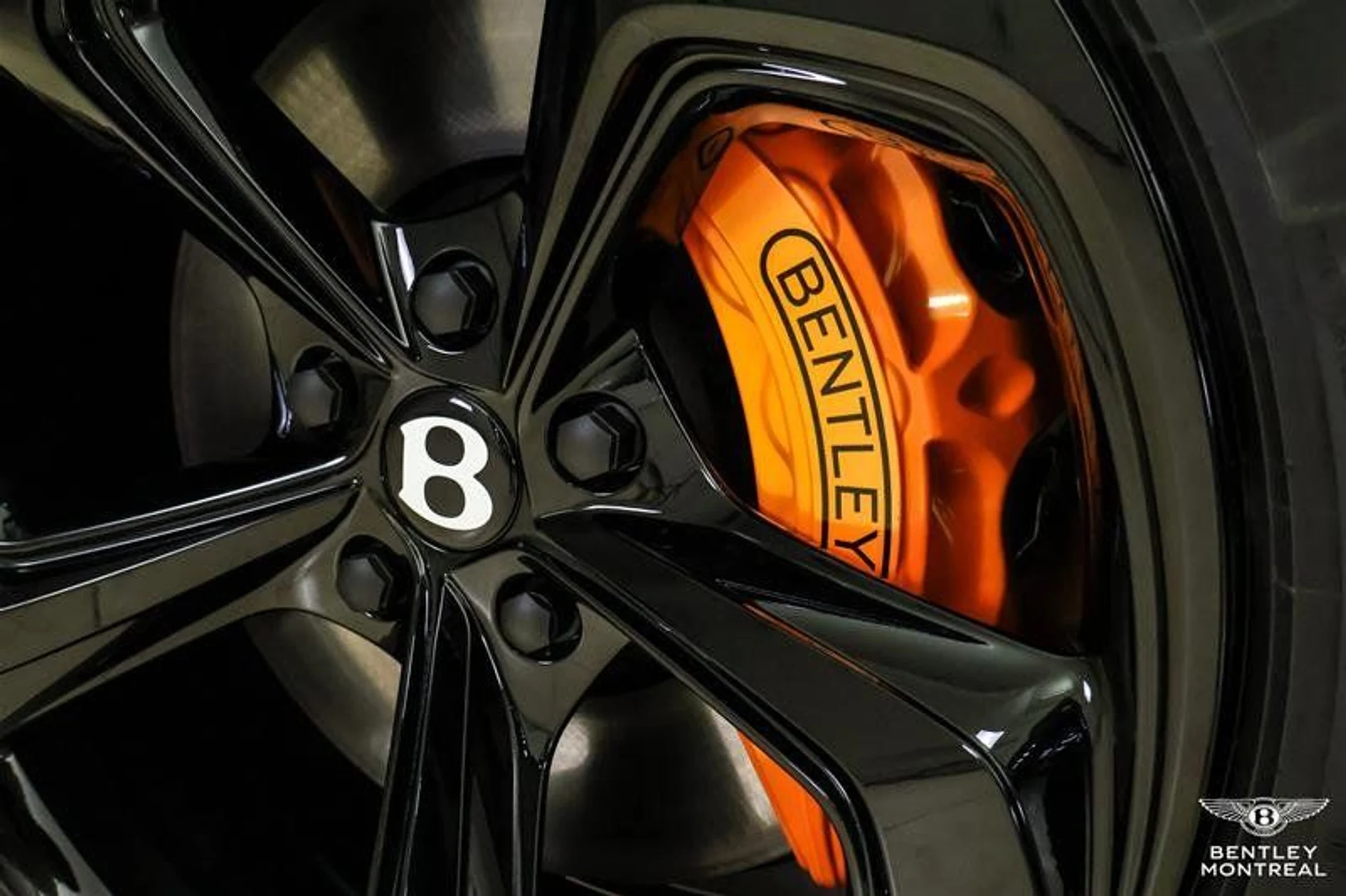 mph012_3675542497_37260651_06084_3tvngjp4_0445e78367