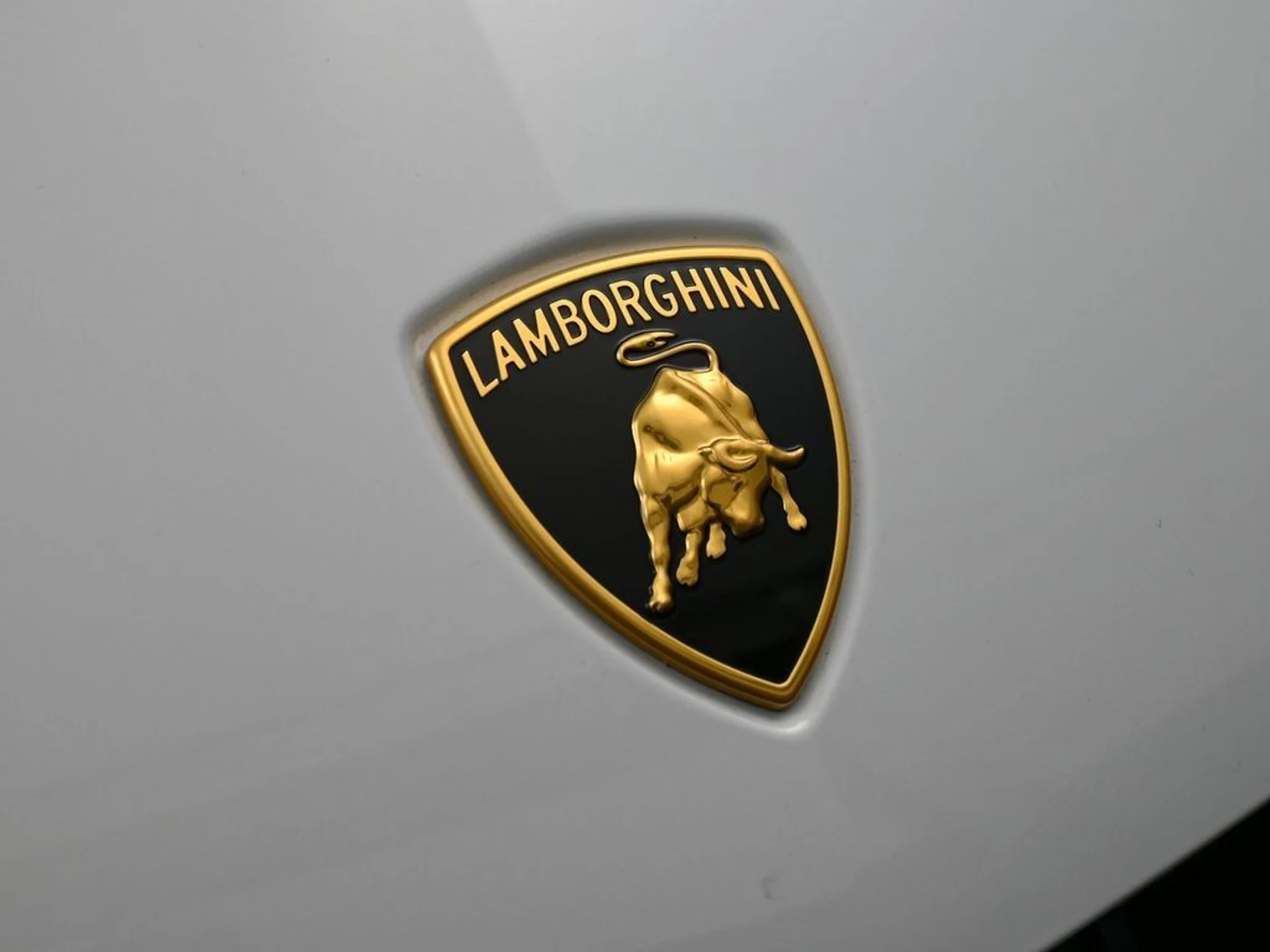 mph012_3838416597_032faa872fc20eb839f89748935bc64d_c3cde3d1de