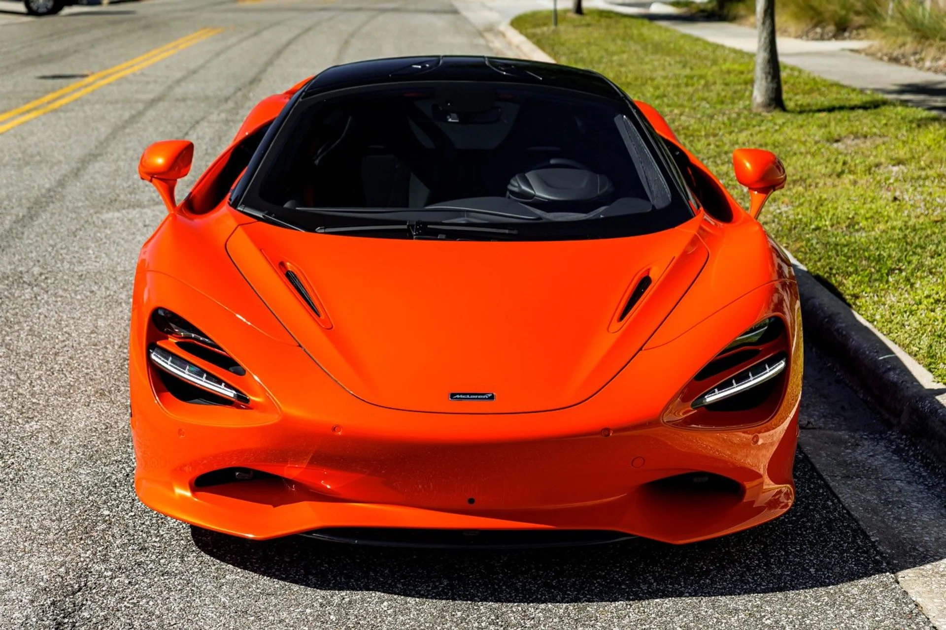 mph012_3897279751_618_p13_l_3a3c6fca5f