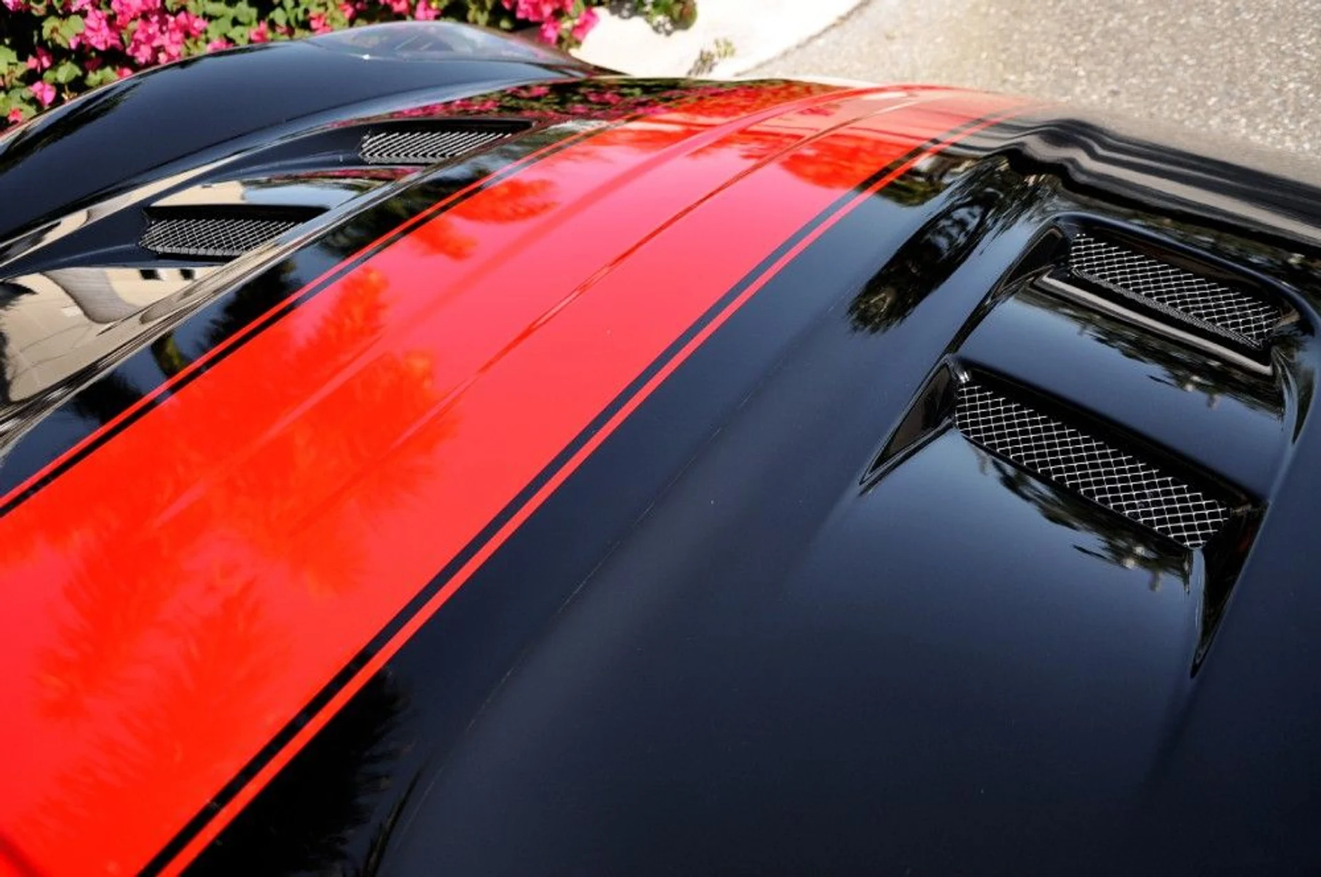 mph012_389996638_82_p13_l_695fa8dfbd