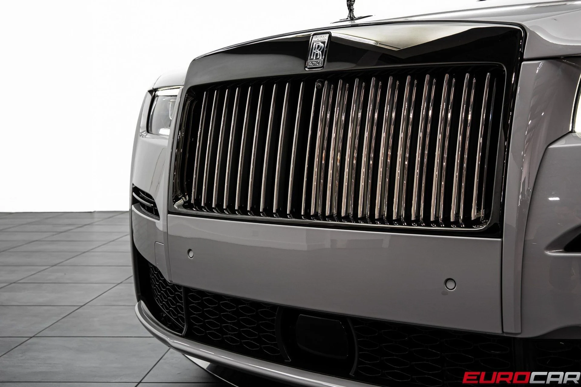 mph012_3910056747_image_13_81fdb26ae2