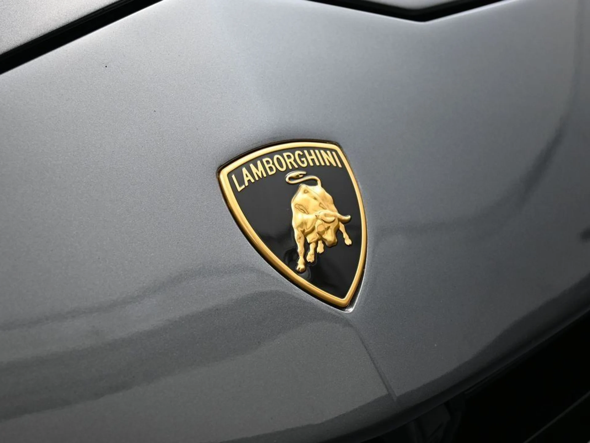 mph012_3919392067_e21b8cf3f8d180a6d8ebfdb3ad55aa6d_ed2c25db98