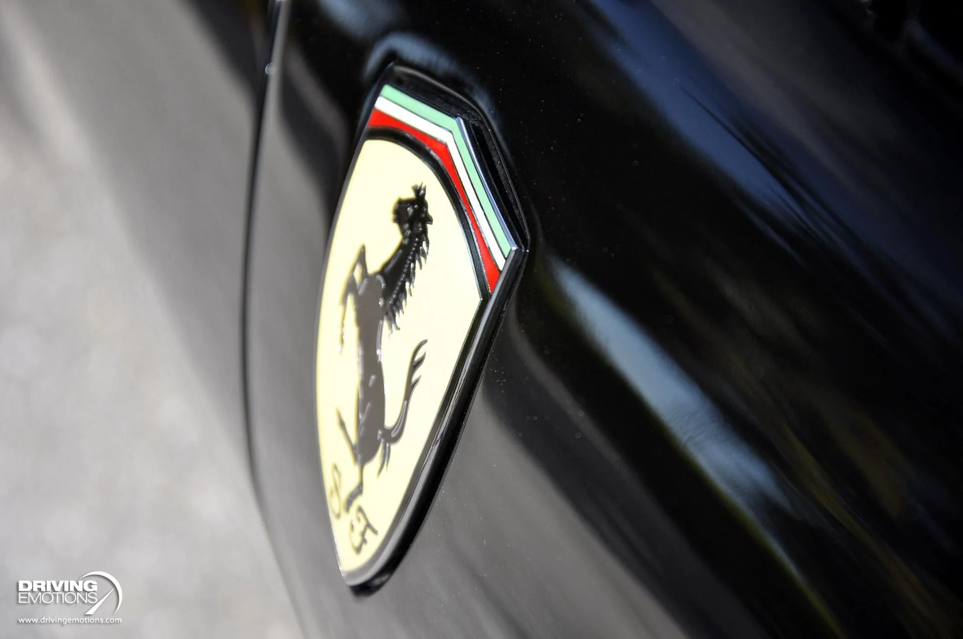 mph012_4028817987_284_p13_l_817d7b7313