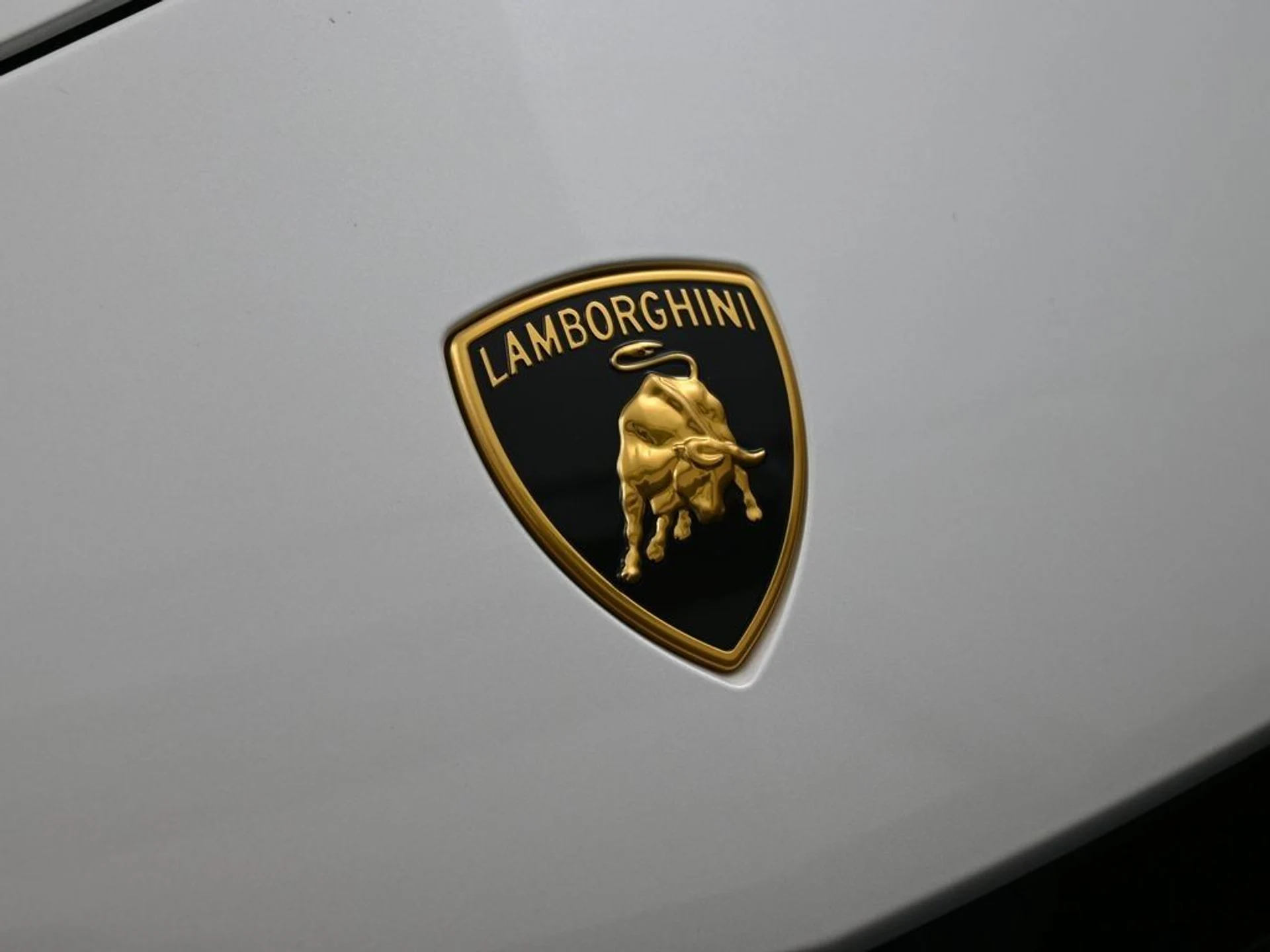 mph012_4035593320_5f54f903d5b184e6404d8fb9b67dd9b4_c5af4b0f57