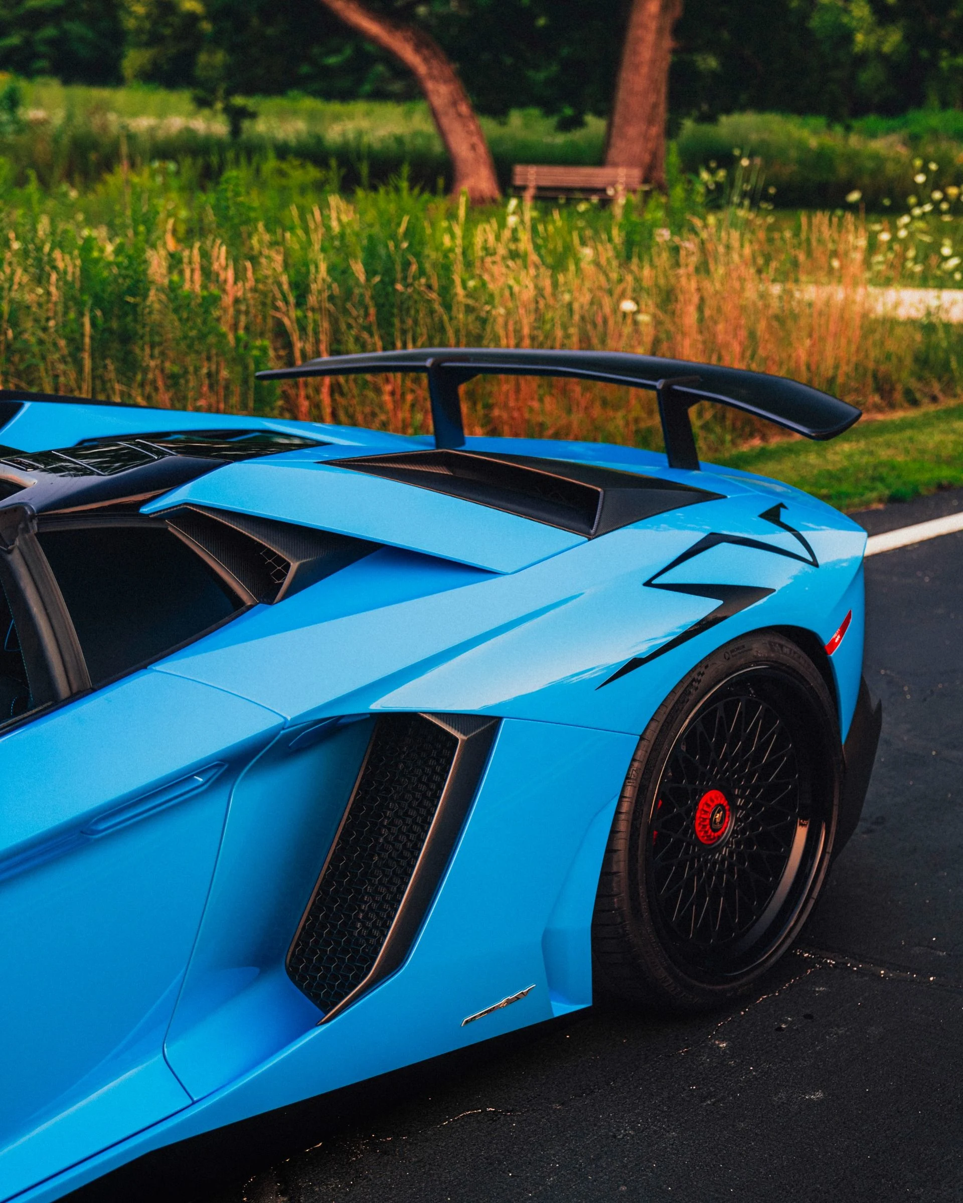 mph012_4130252553_9696_p13_l_8b5ab69cd8