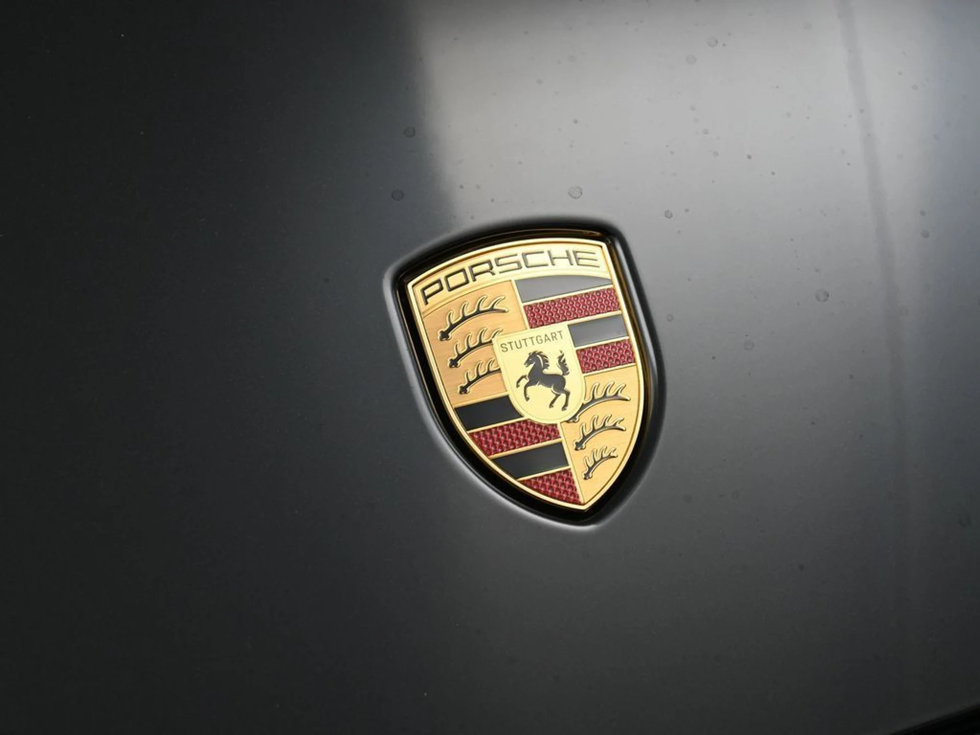 mph012_4157392327_0546f930_5eff_4b69_a405_34468ca28c2c_8b1b2171cf