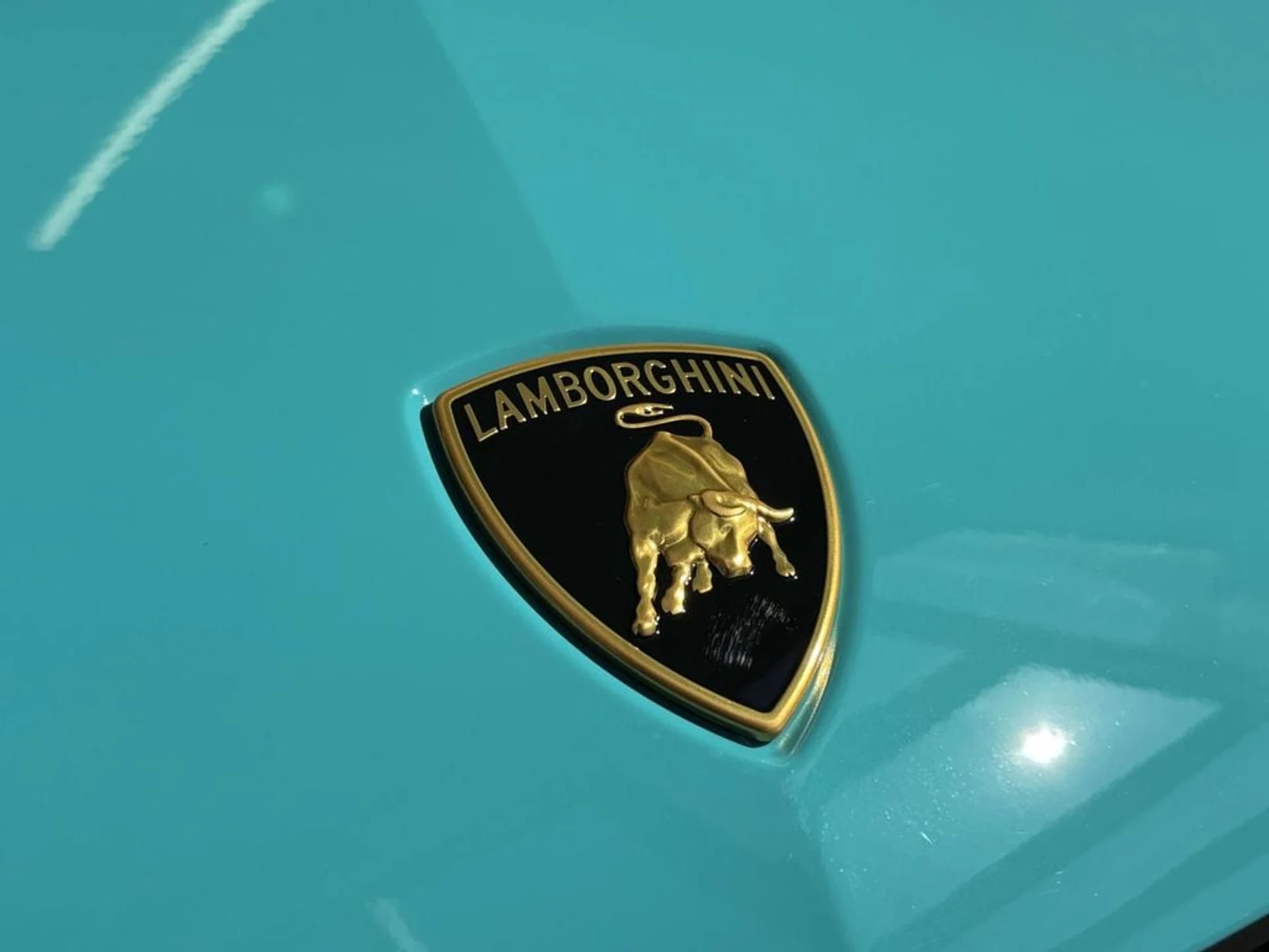 mph012_4201747538_9755375d7649be79eebb1097c67e3e29x_f757d94298