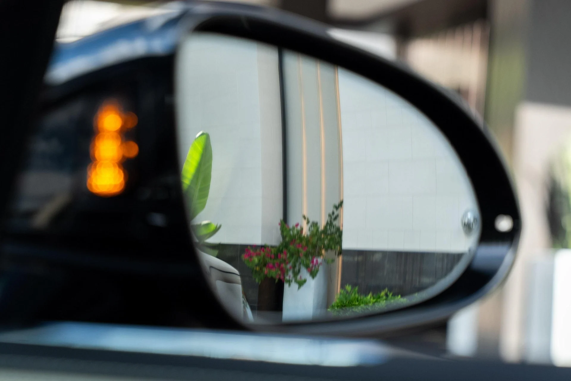 mph012_4246295754_439893878_68885780327455e0273381ce_679aa4d648