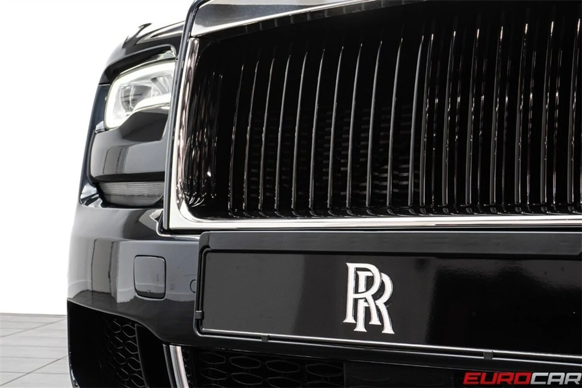 mph012_4276406278_image_13_192b164549