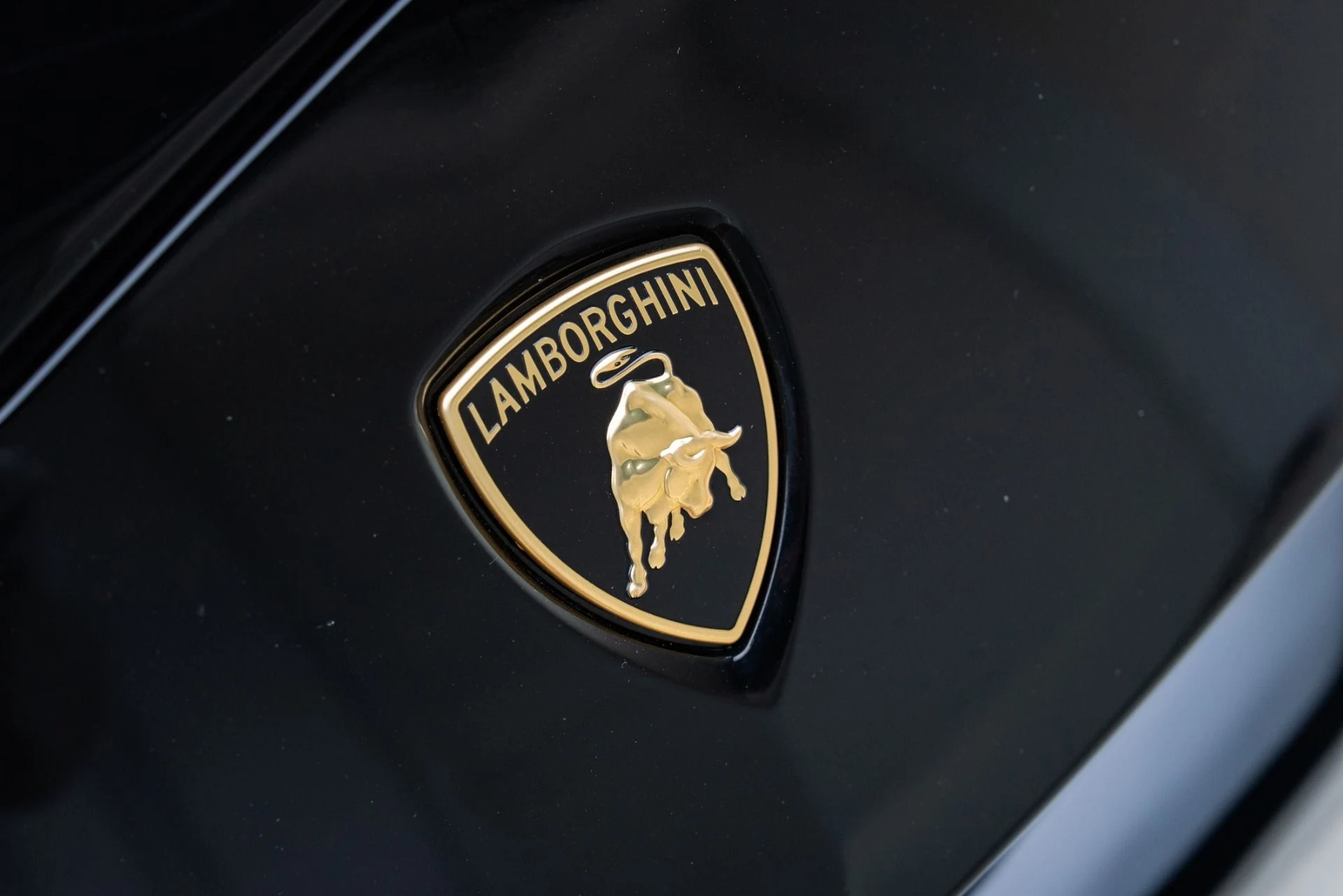 mph012_442663958_Used_2019_Lamborghini_Urus_1778703309_ba4f0081ec