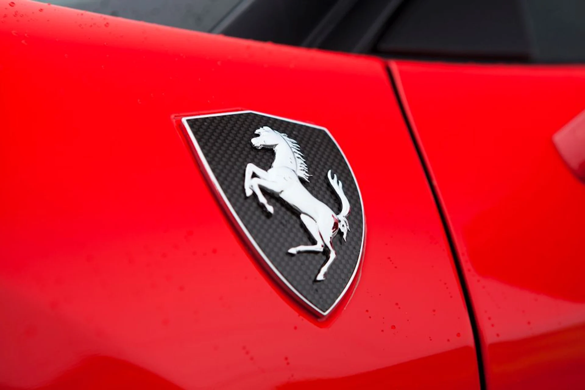 mph012_458069544_2207d6_856f25bca53a420a832993c935e320f7_mv2_4880167464