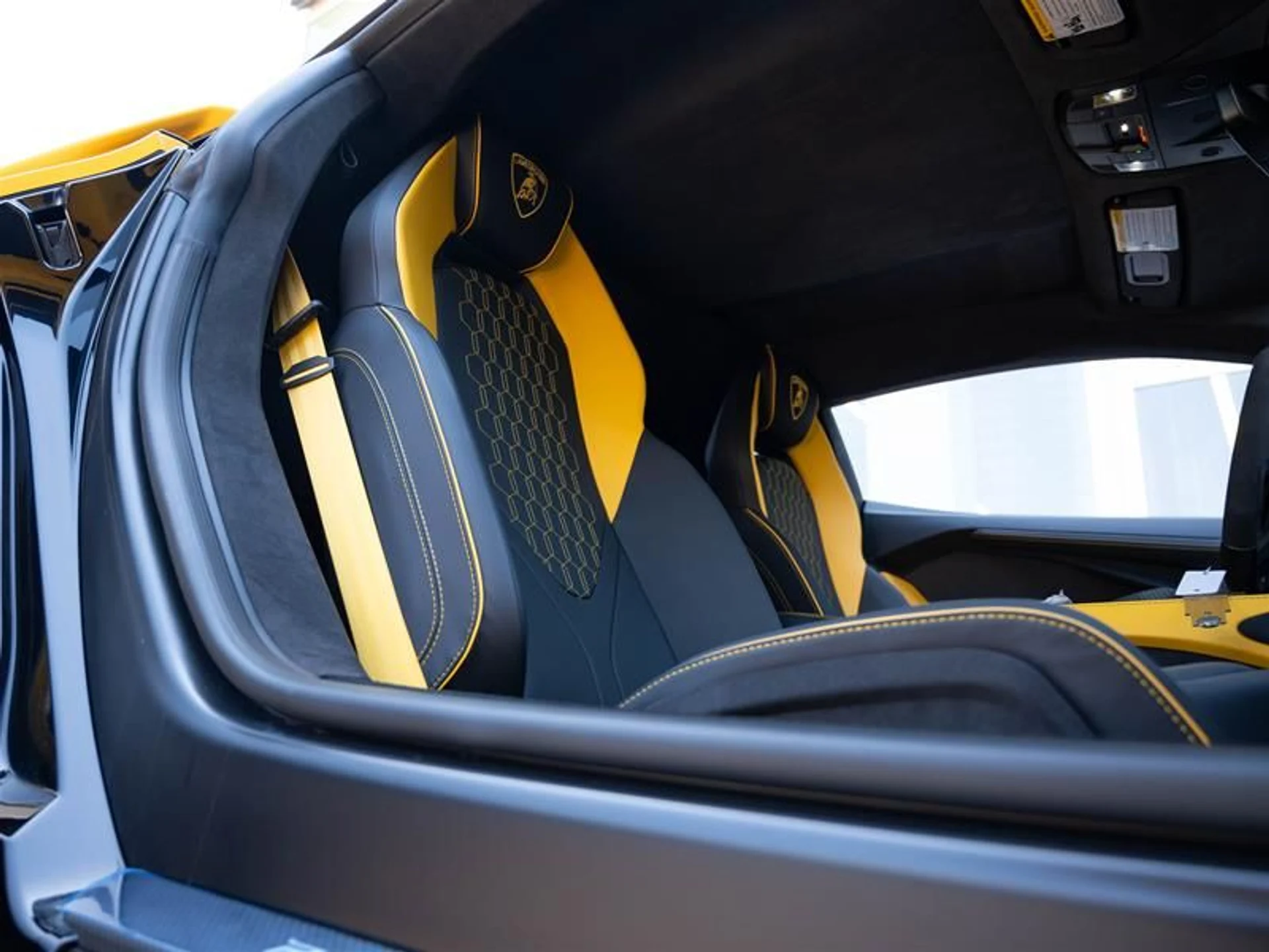 mph012_545421573_rsftyncc_ca61b6636a