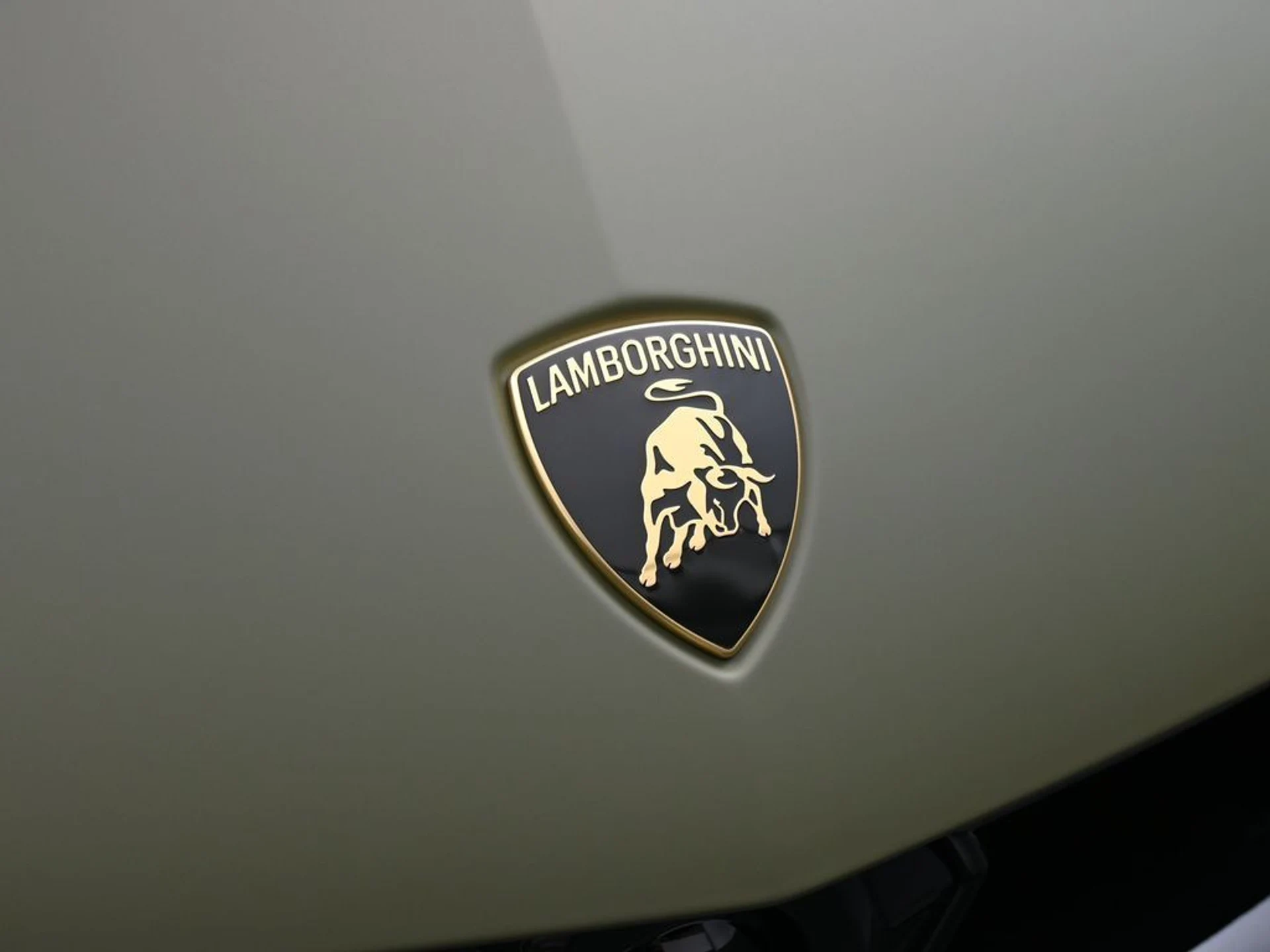 mph012_653563810_a1075dc6_a7b9_40d3_9f73_dbf0d07dd5e9_981088bab1