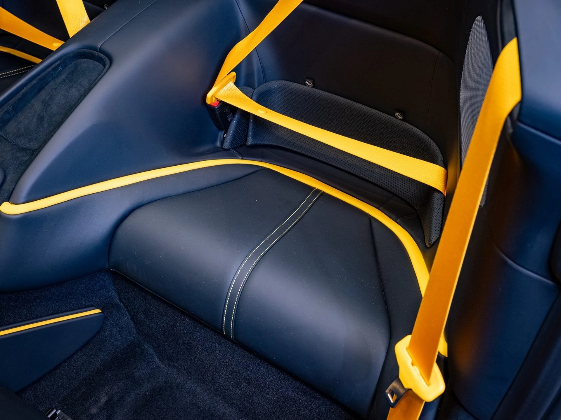 mph012_693493926_13_fff6d94526