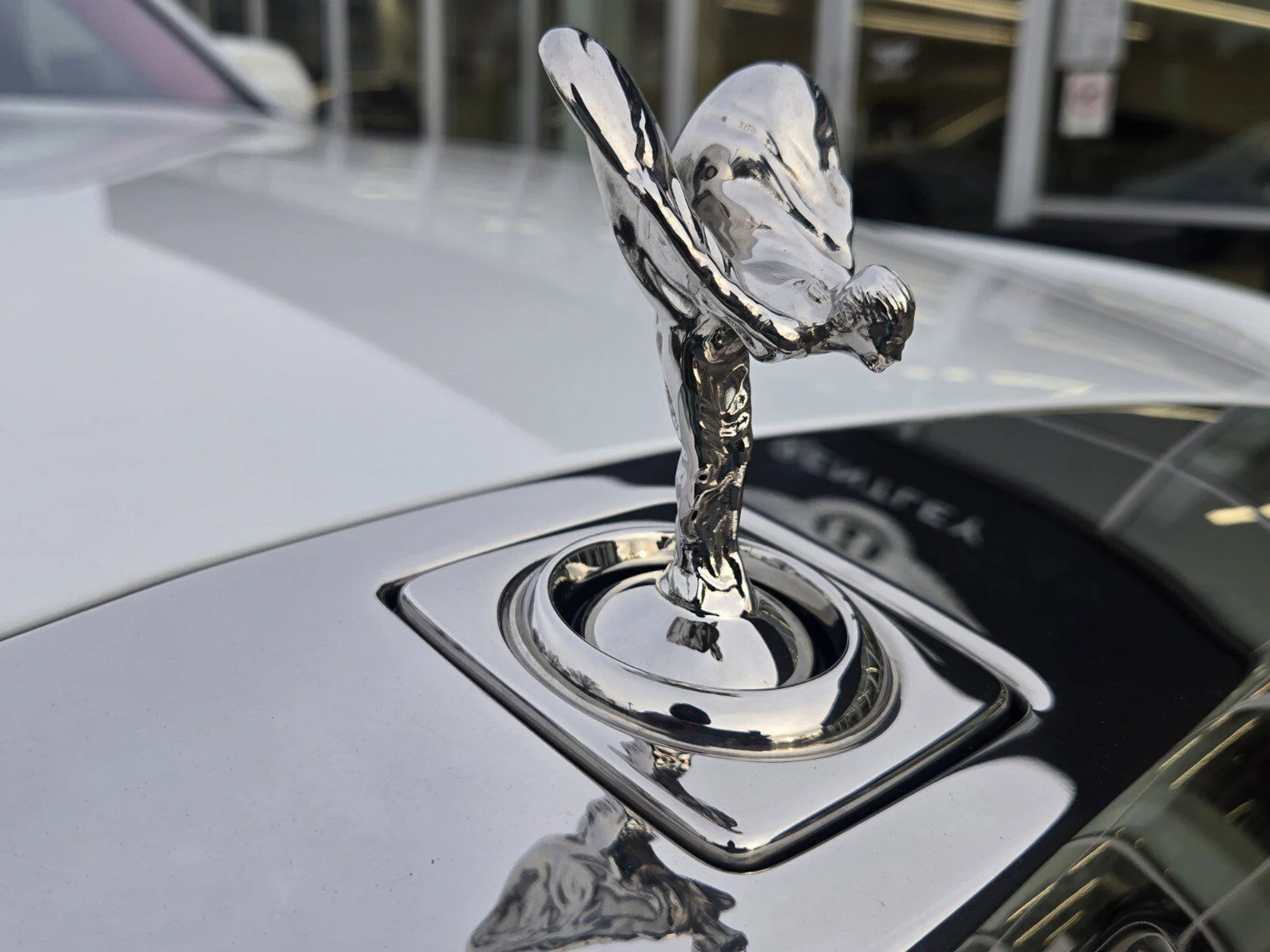 mph012_703117165_3f8f59782b2be8f8cc90f427c8261f64x_3ac8a34da5