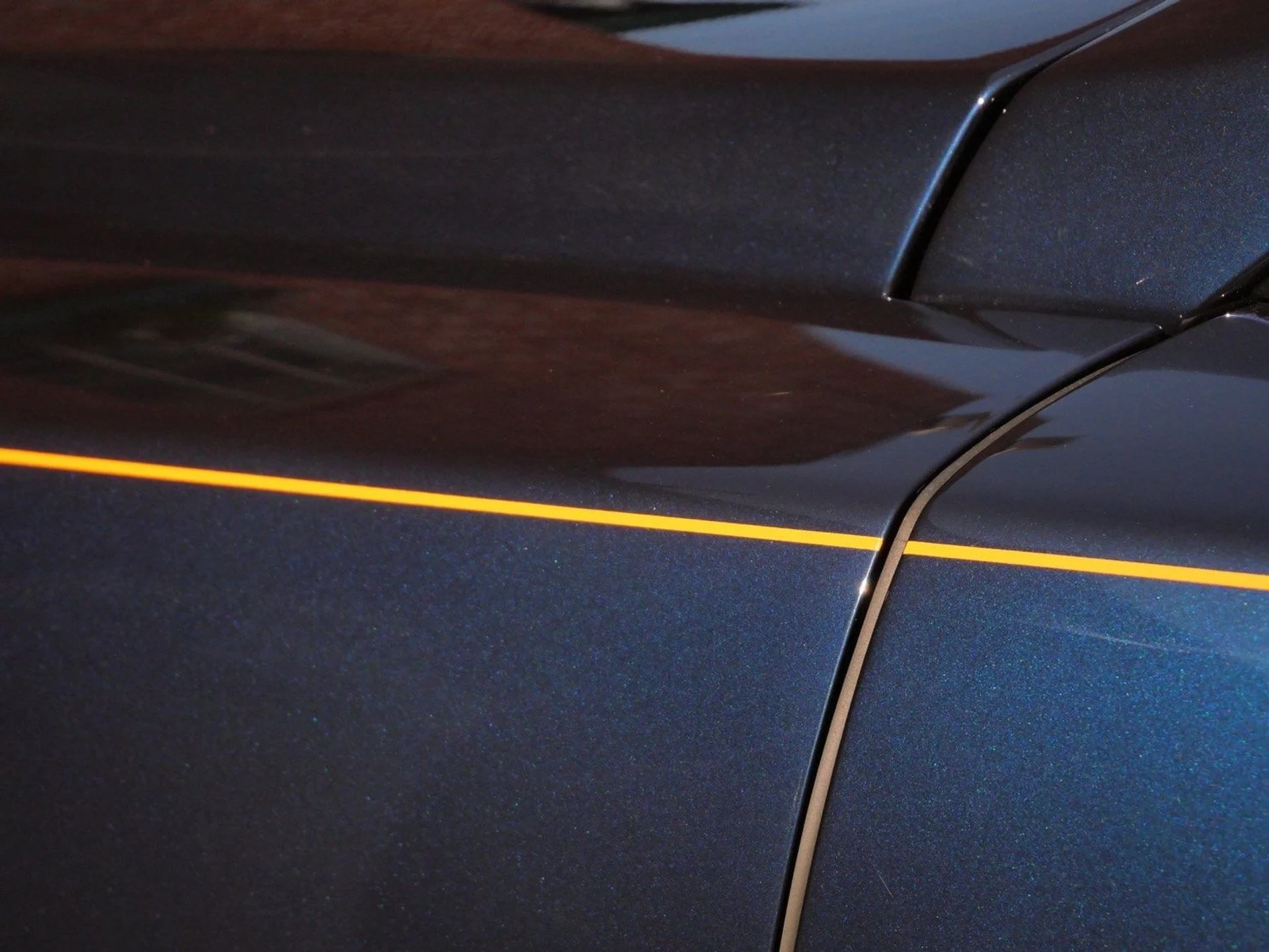 mph012_731863641_76e04bc838850214407a7290ed4feeddx_8d932cbfb9