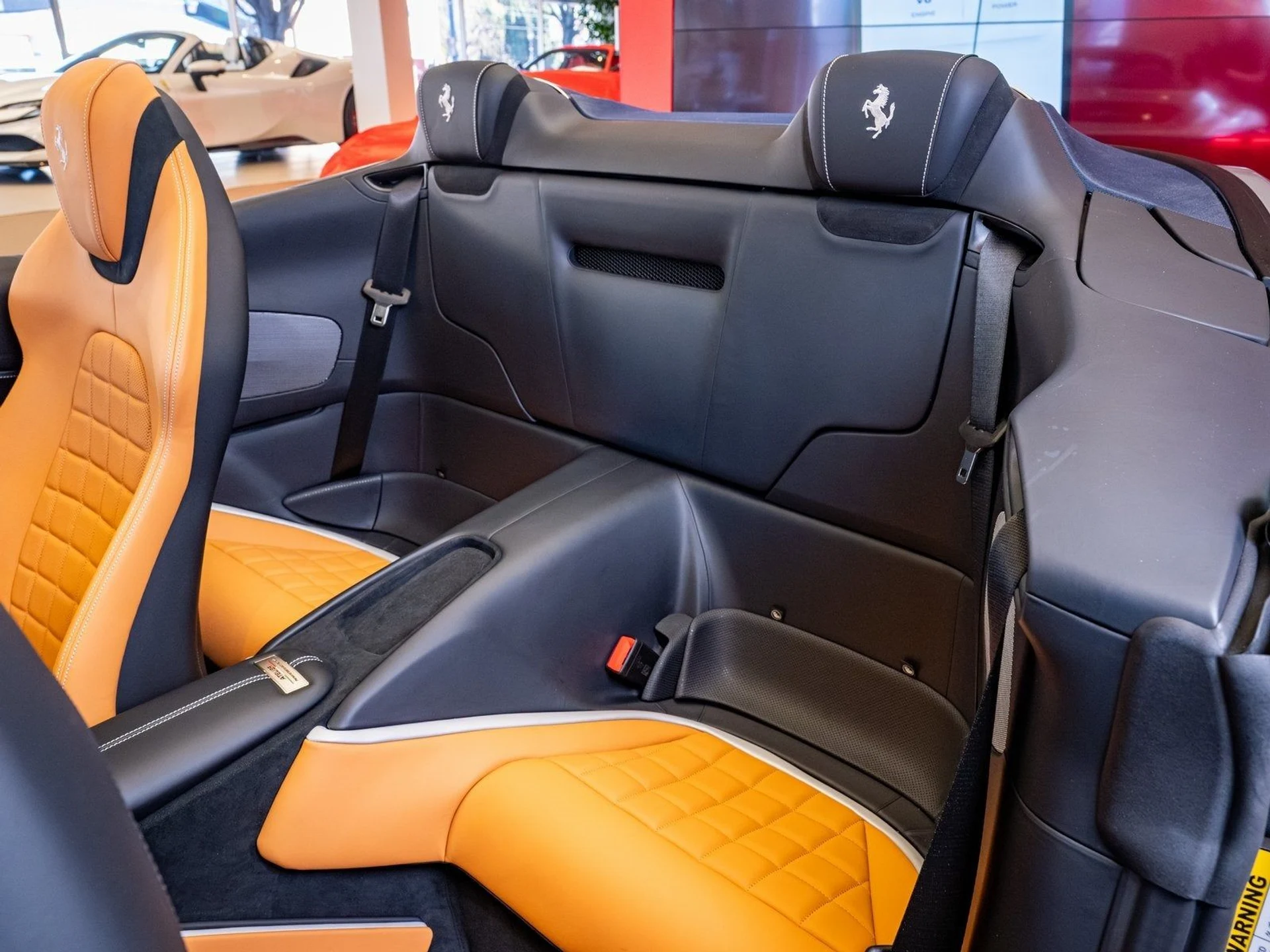 mph012_804719973_13_44e7d53019